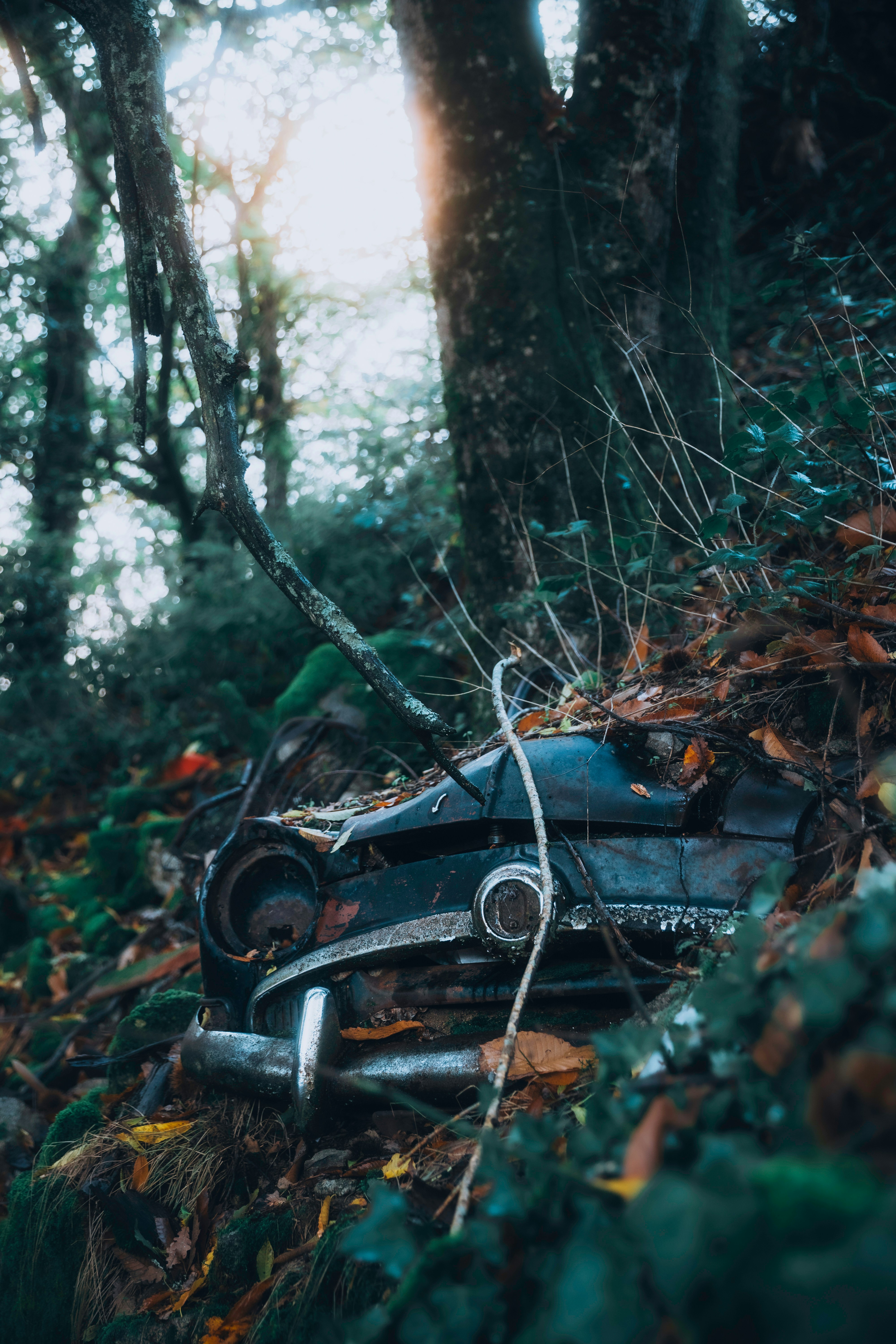 Photo by aurel_tyson