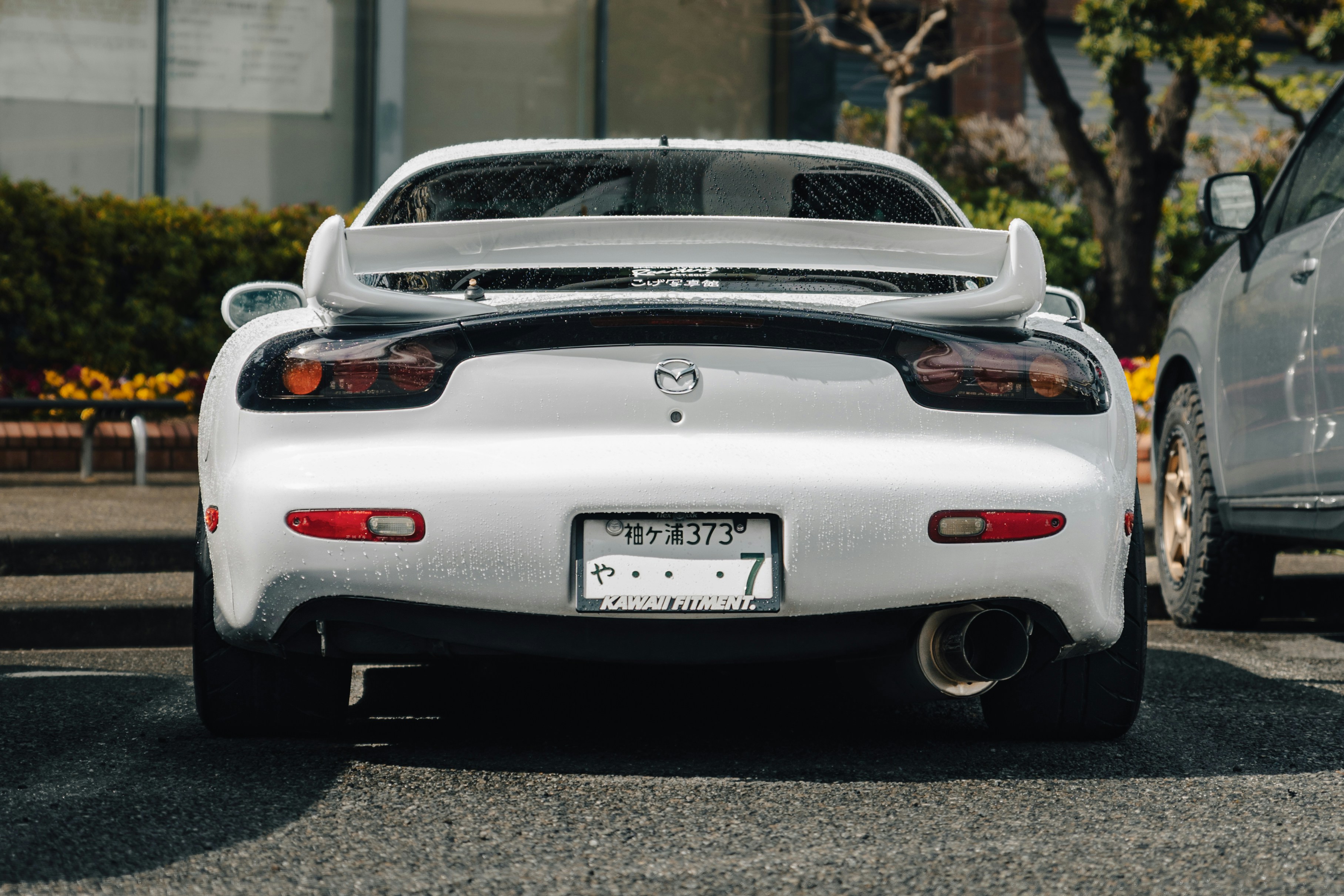 Photo by shoham_avisrur