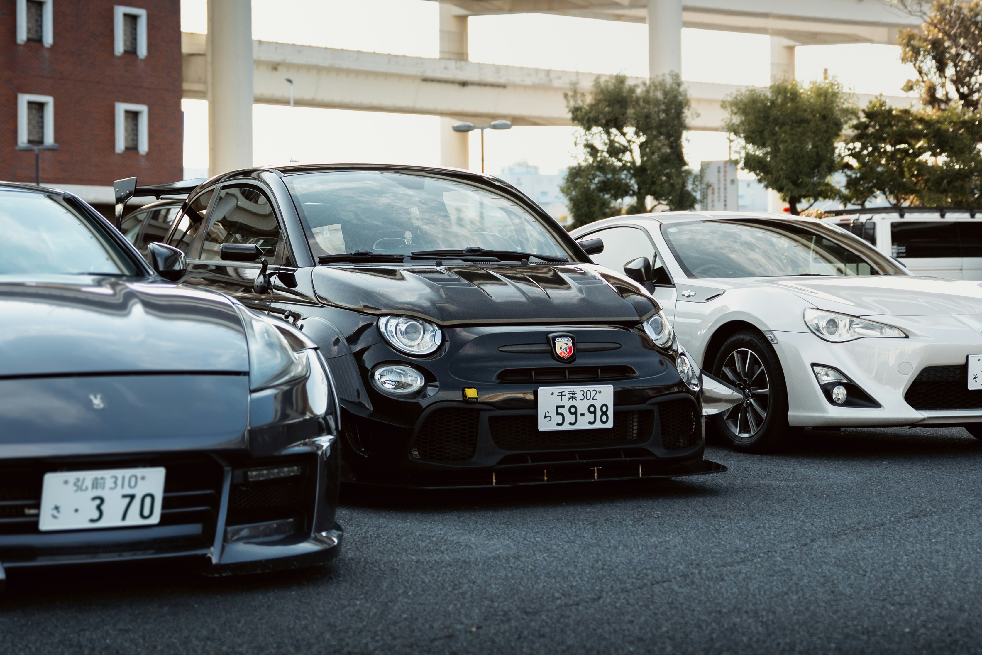 Photo by shoham_avisrur