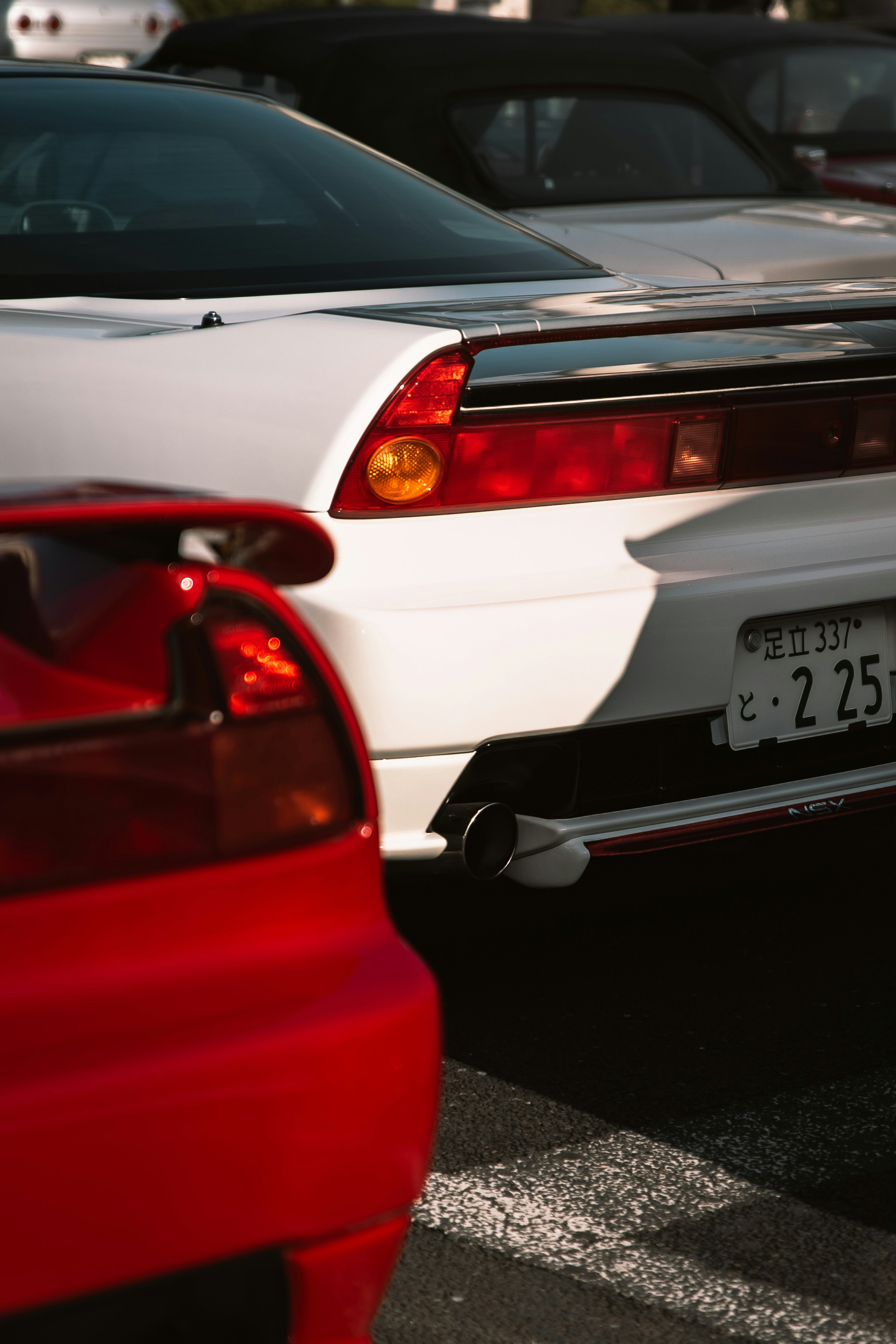 Photo by shoham_avisrur