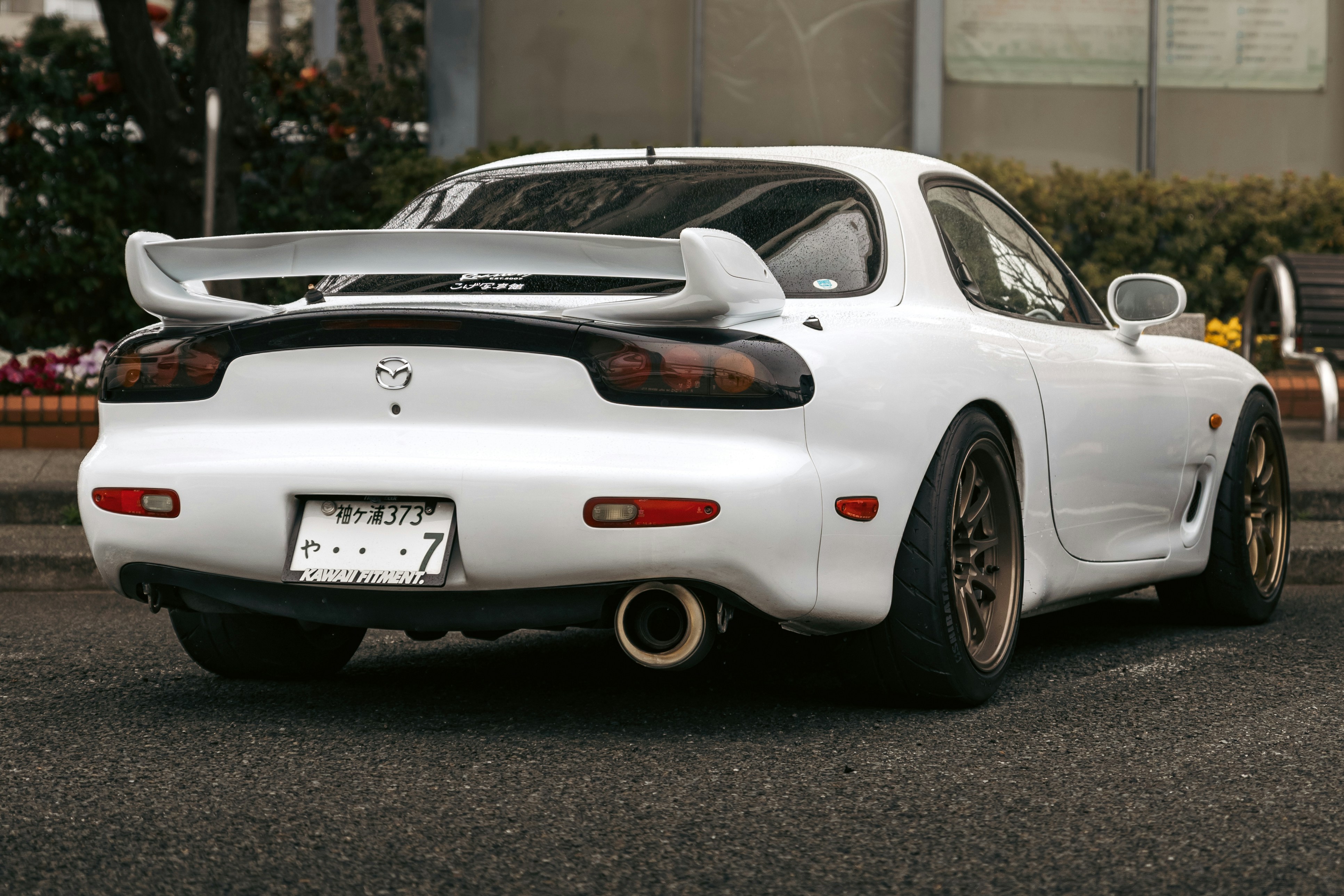 Photo by shoham_avisrur