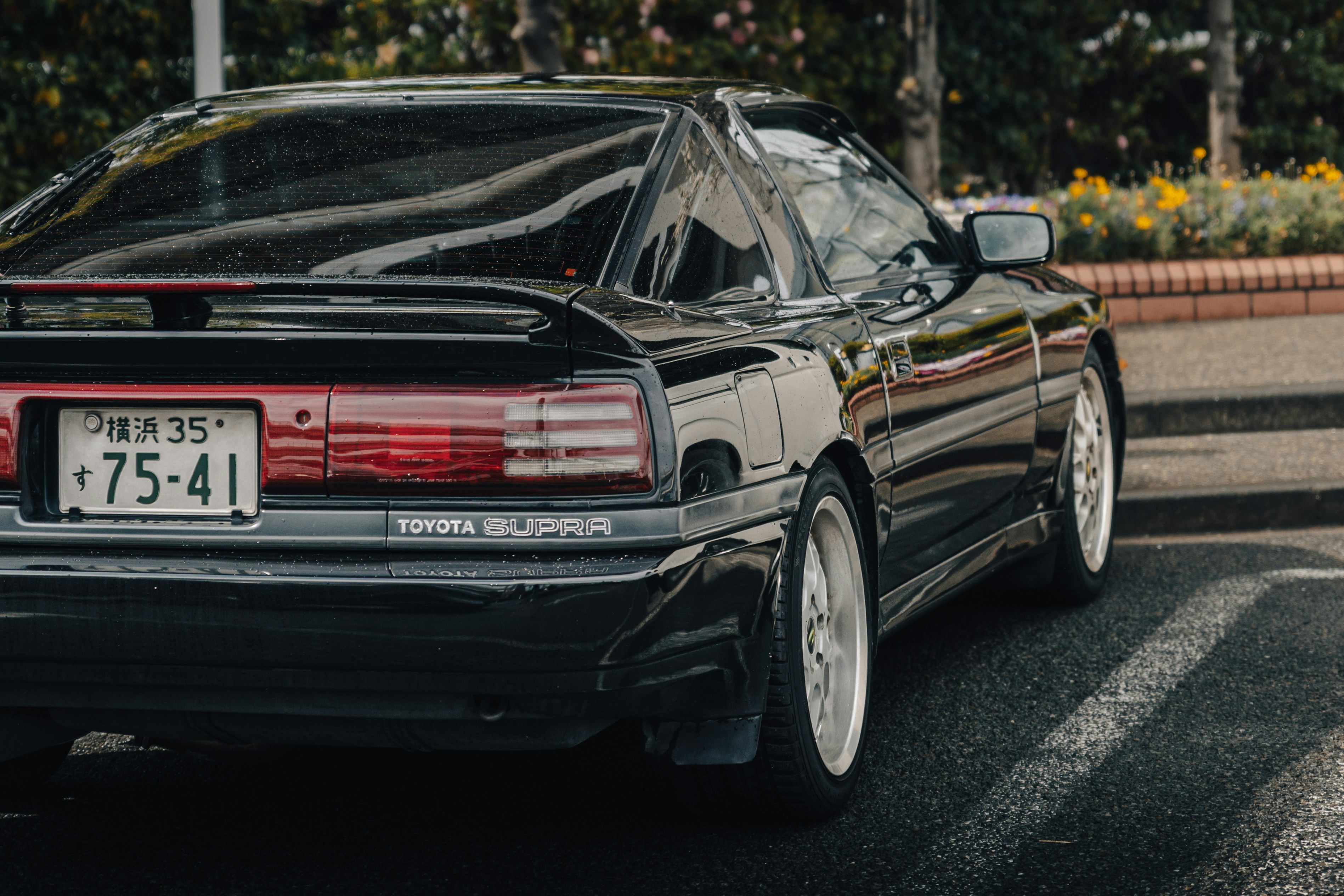 Photo by shoham_avisrur