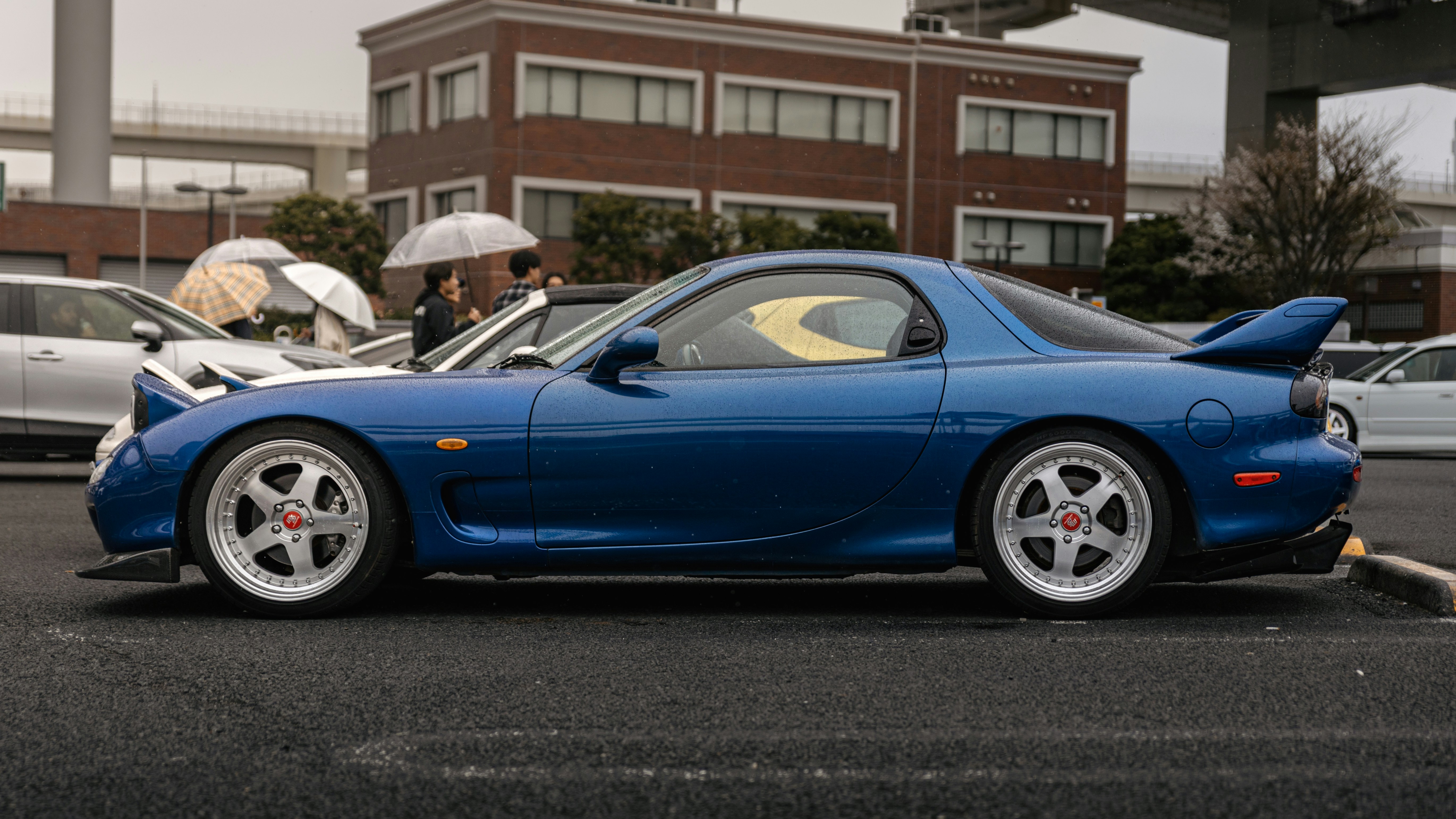 Photo by shoham_avisrur