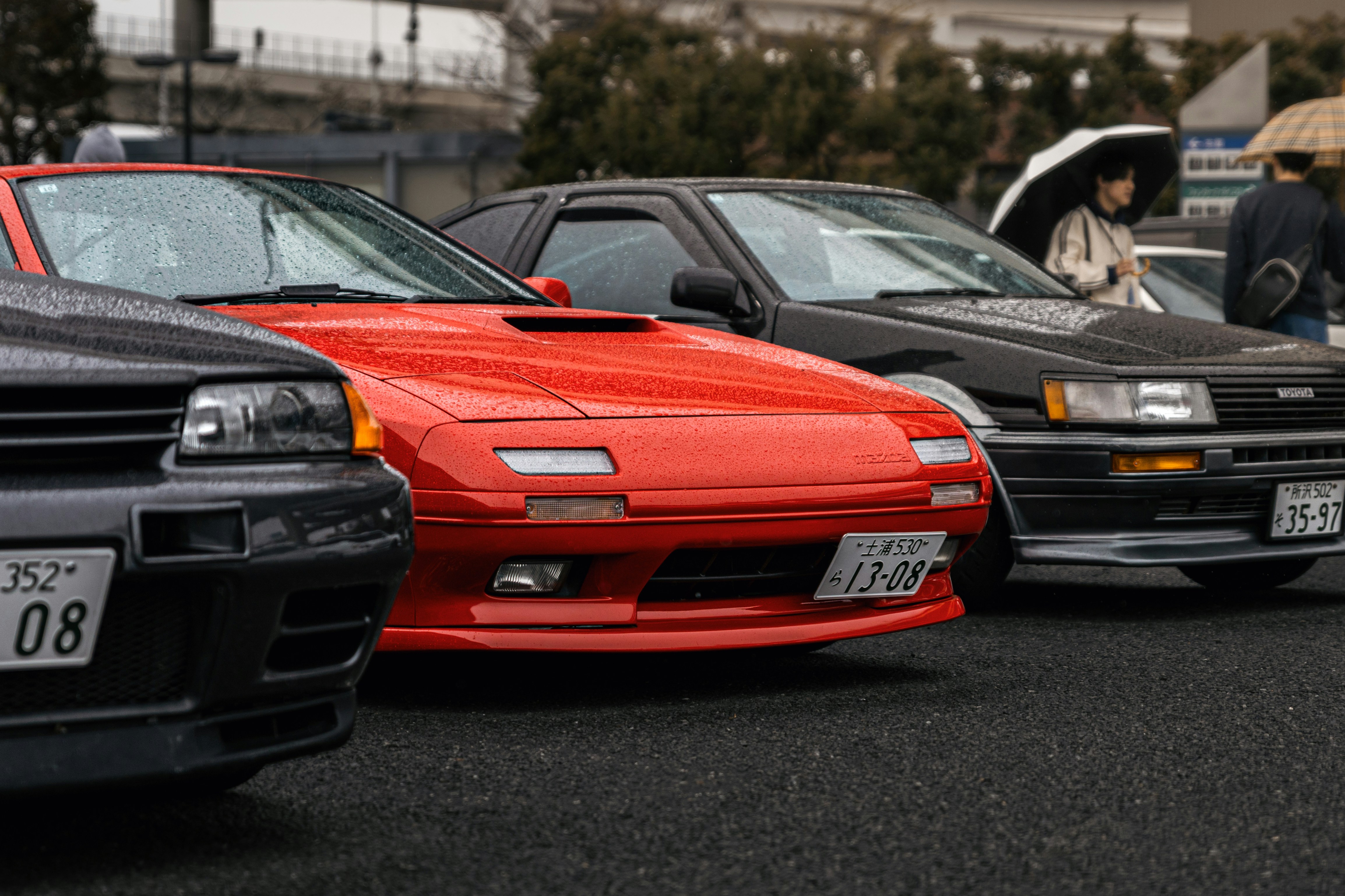 Photo by shoham_avisrur