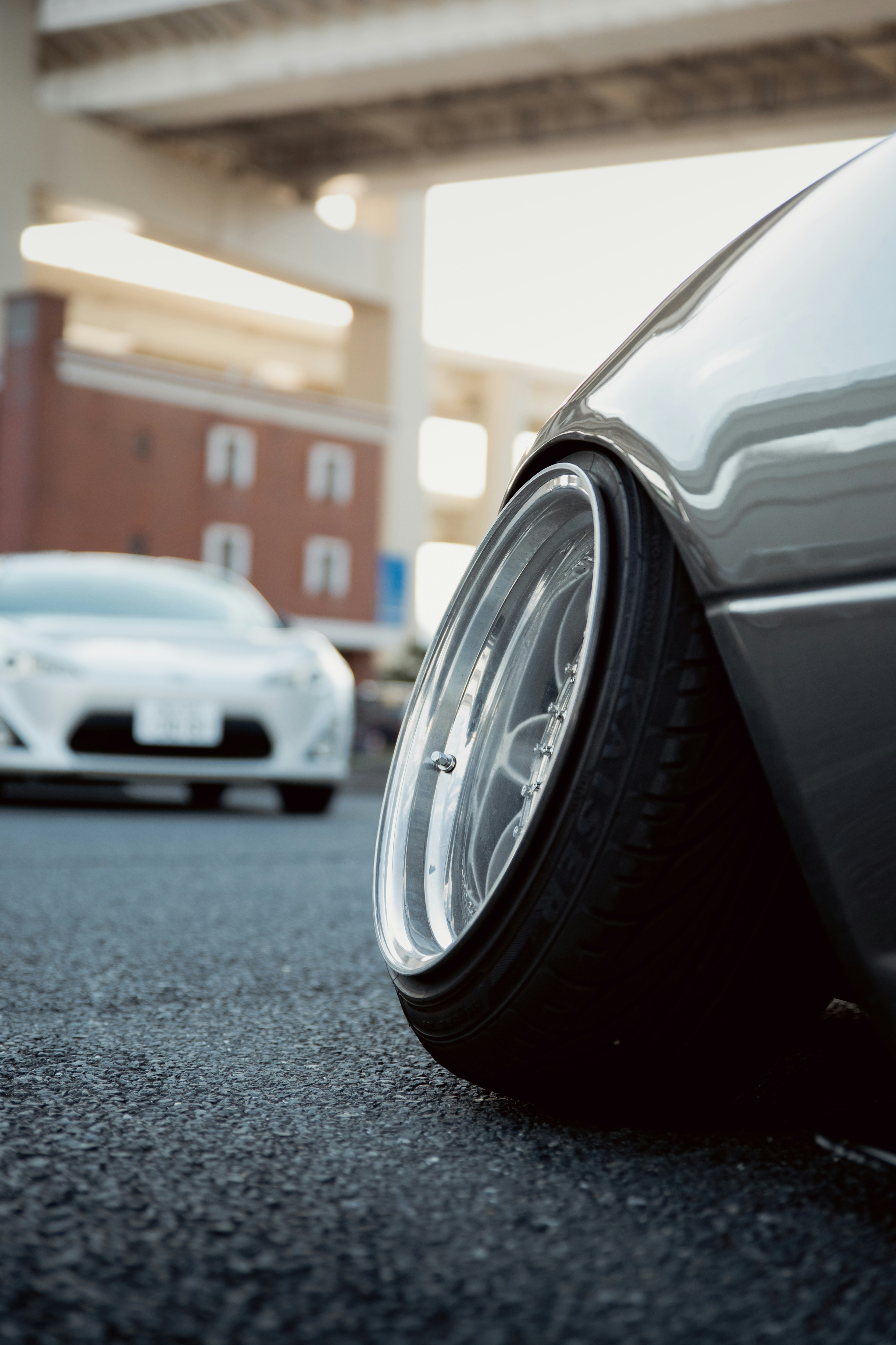 Photo by shoham_avisrur