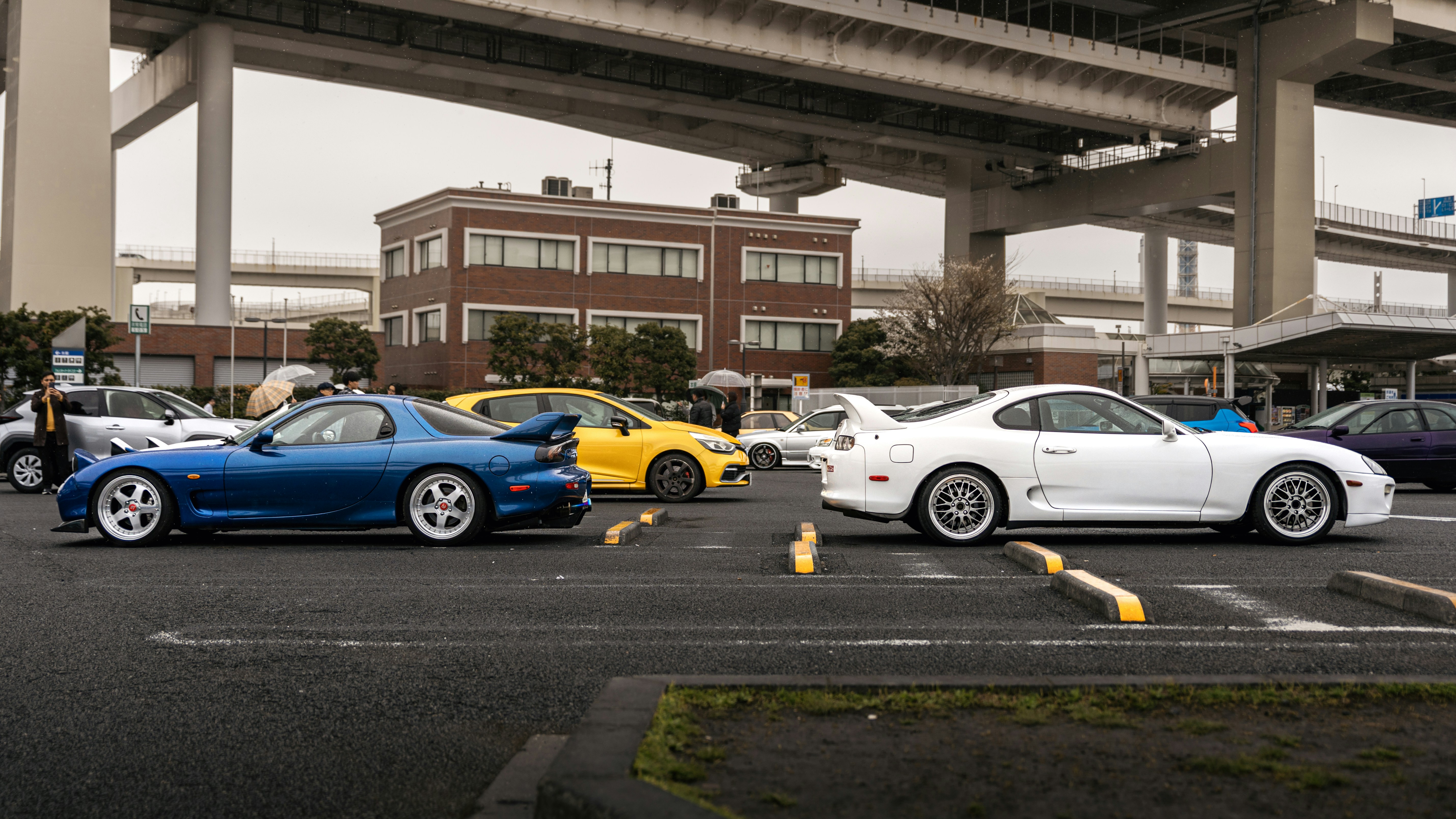 Photo by shoham_avisrur