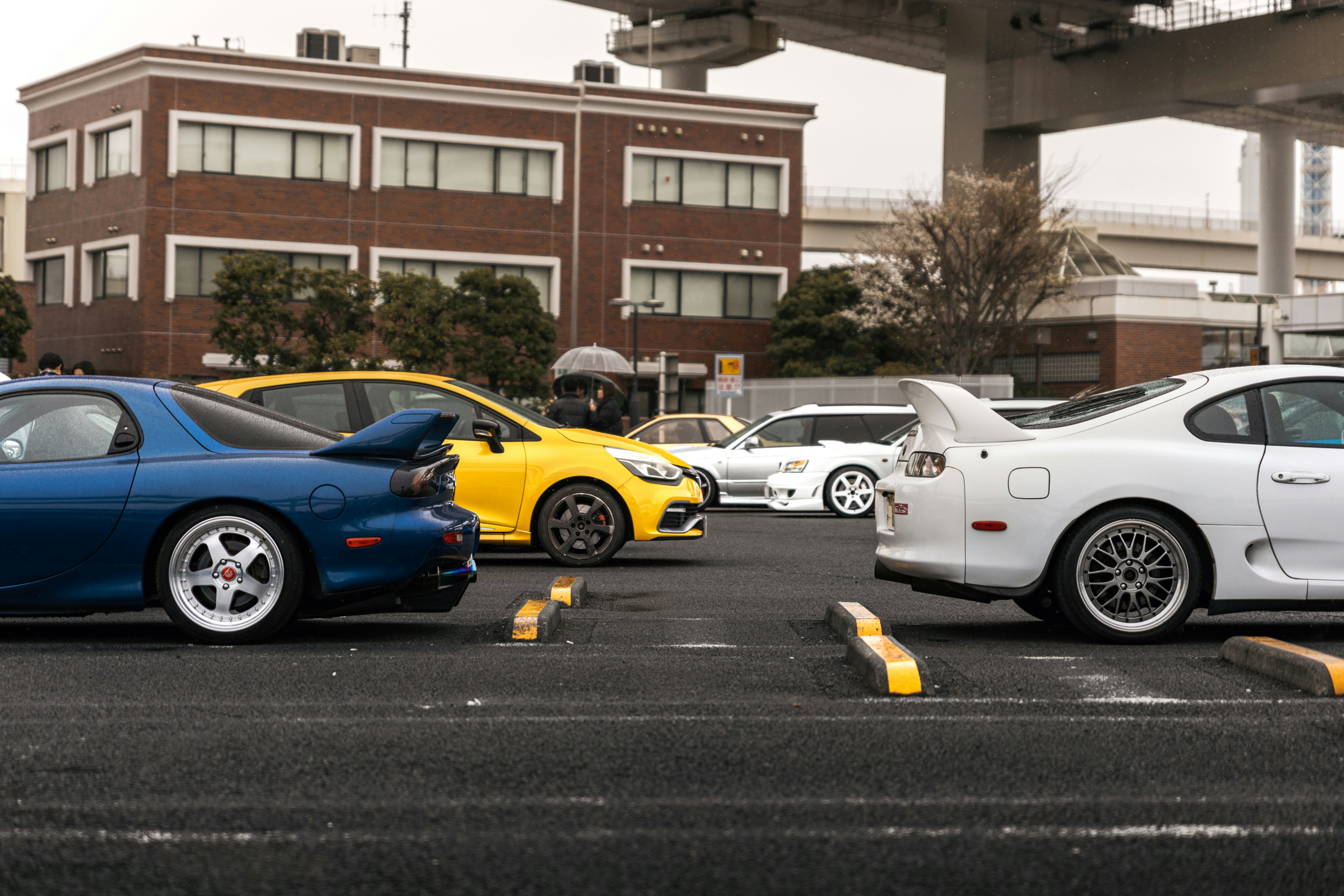 Photo by shoham_avisrur