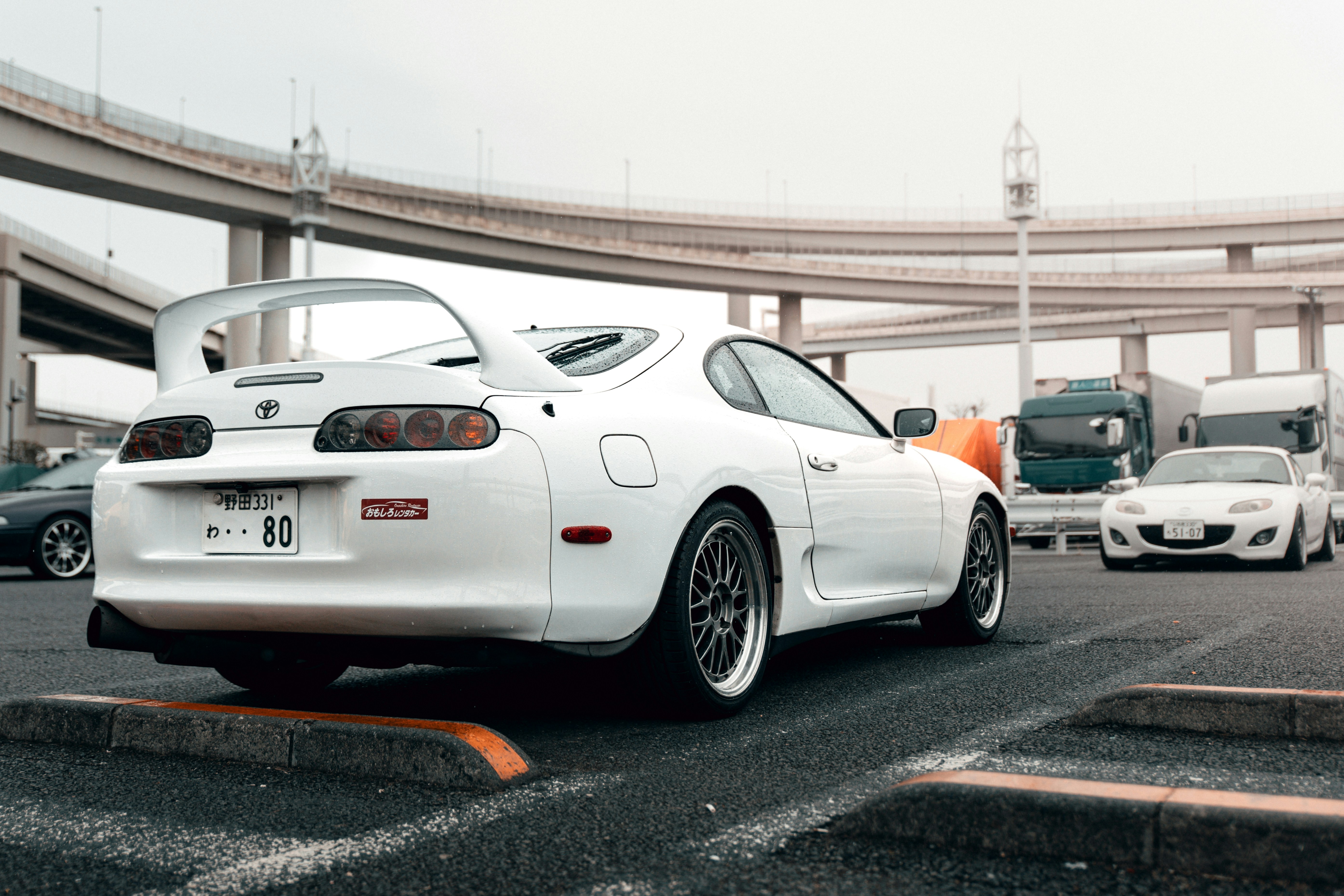 Photo by shoham_avisrur