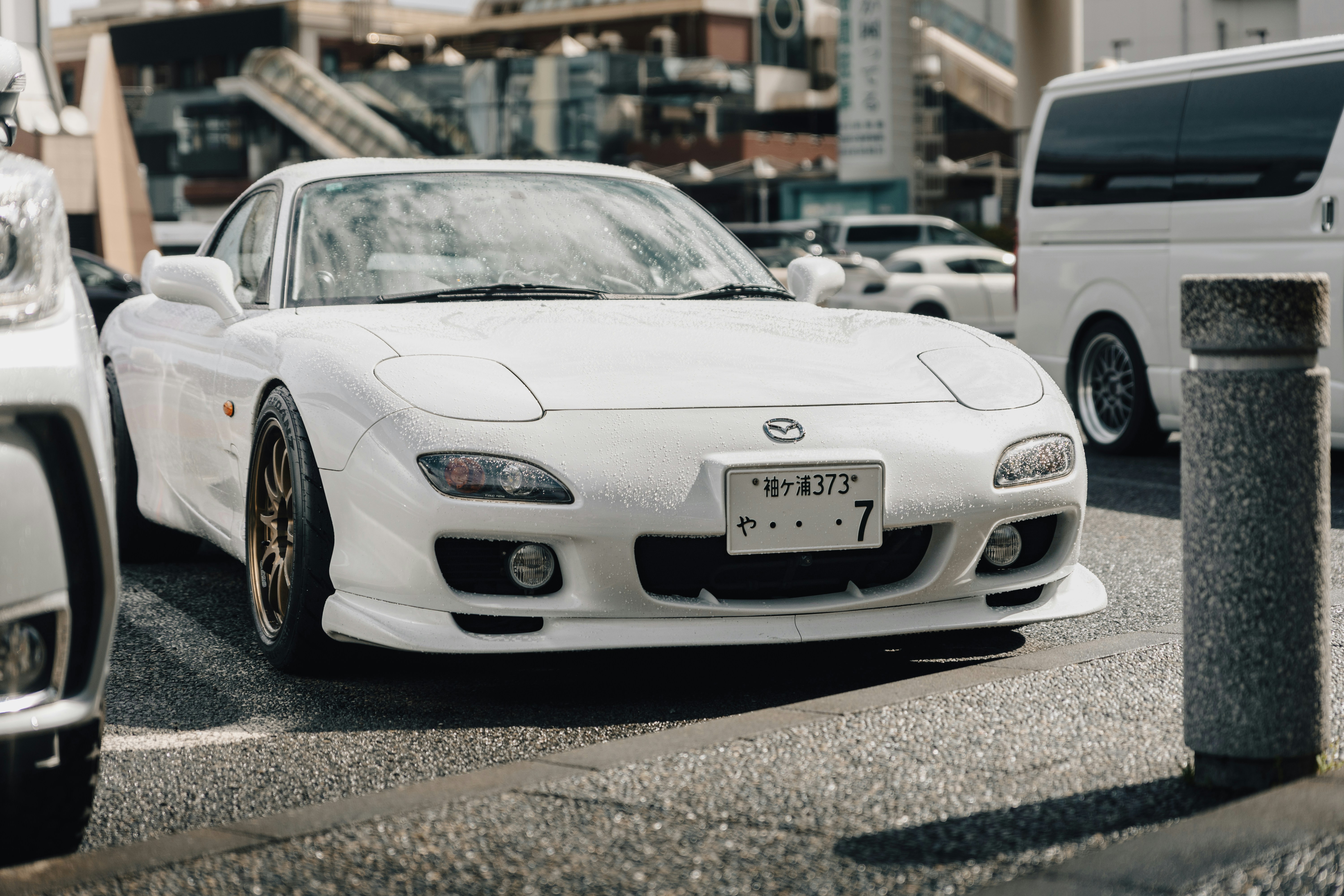 Photo by shoham_avisrur