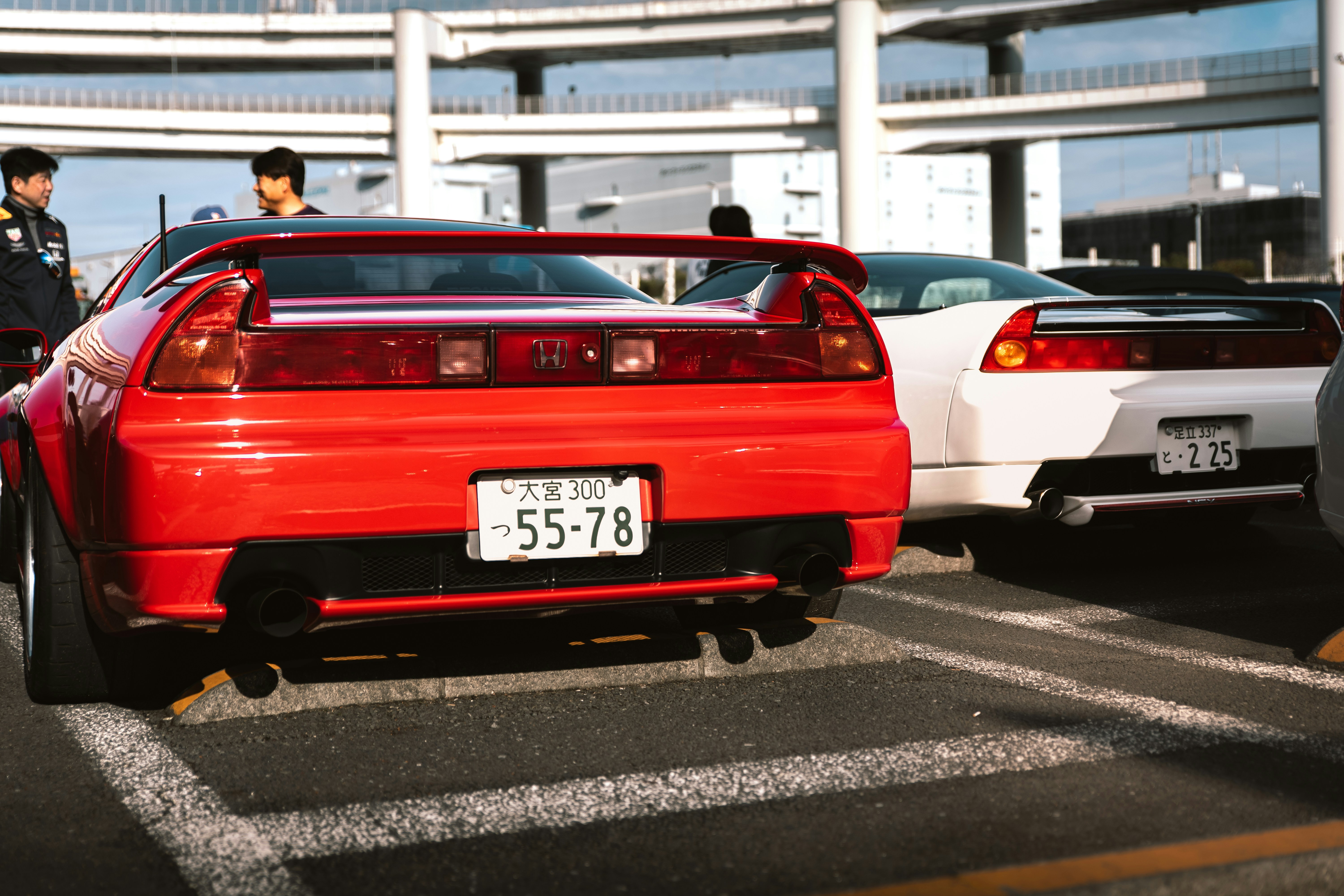 Photo by shoham_avisrur