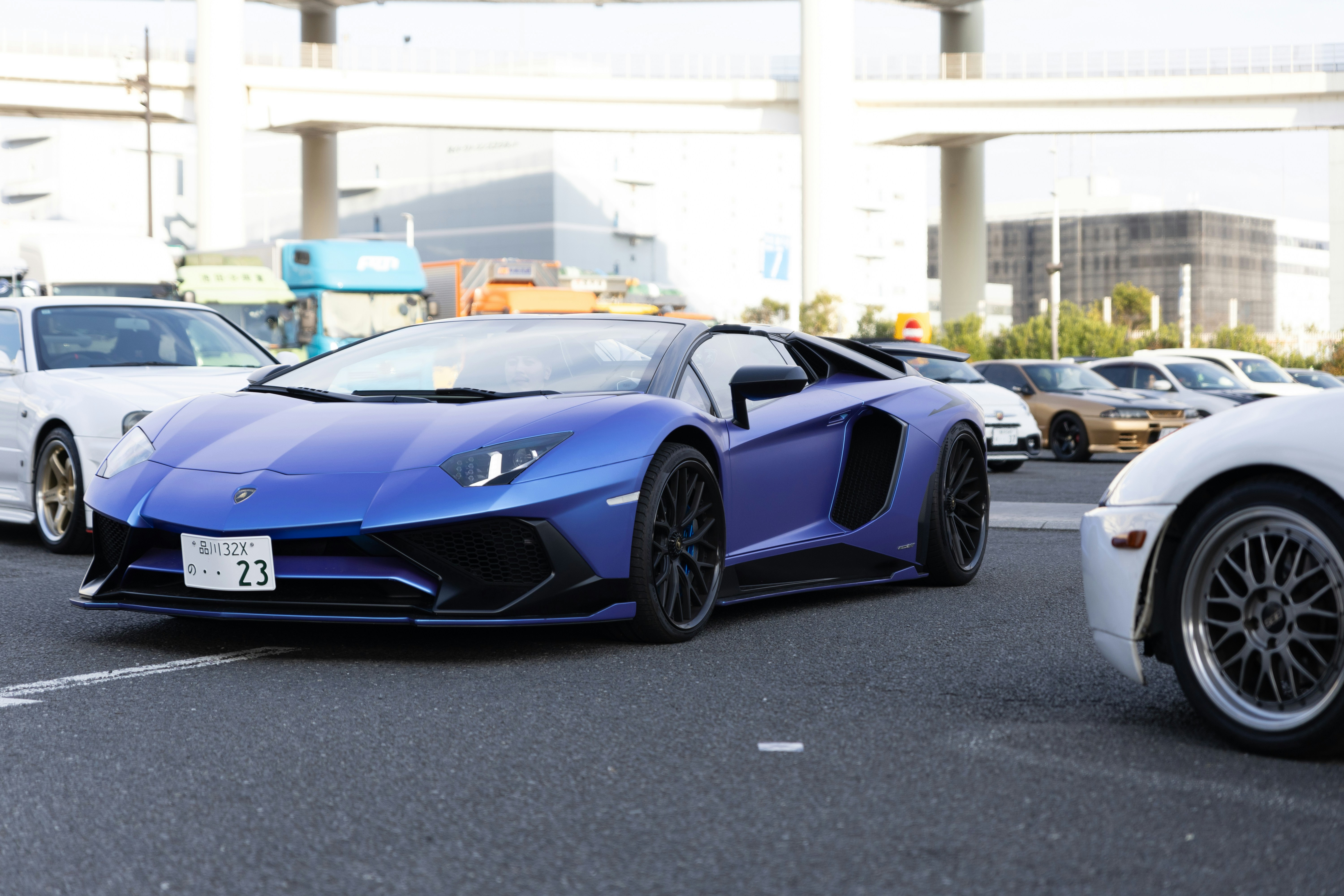 Photo by shoham_avisrur