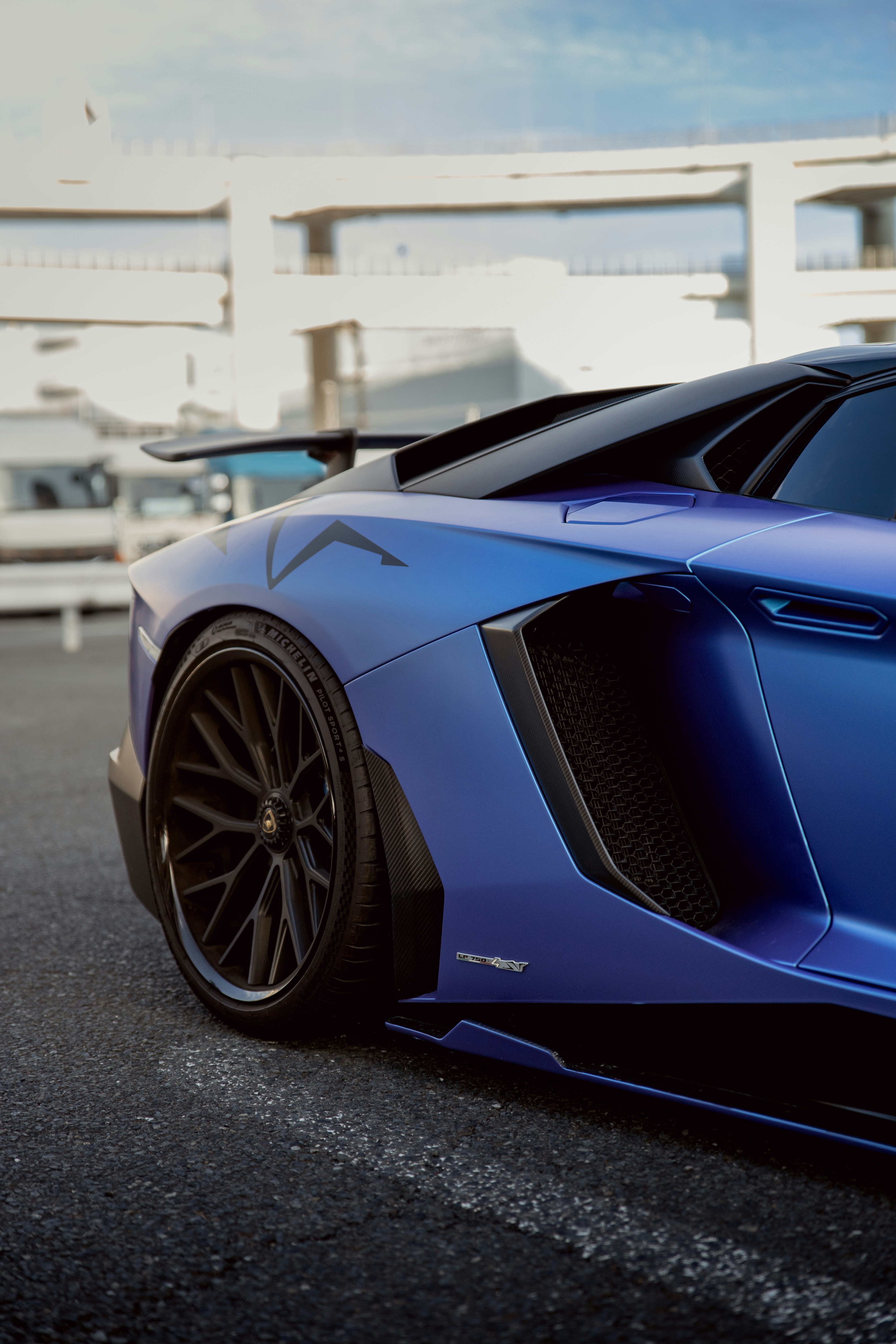 Photo by shoham_avisrur