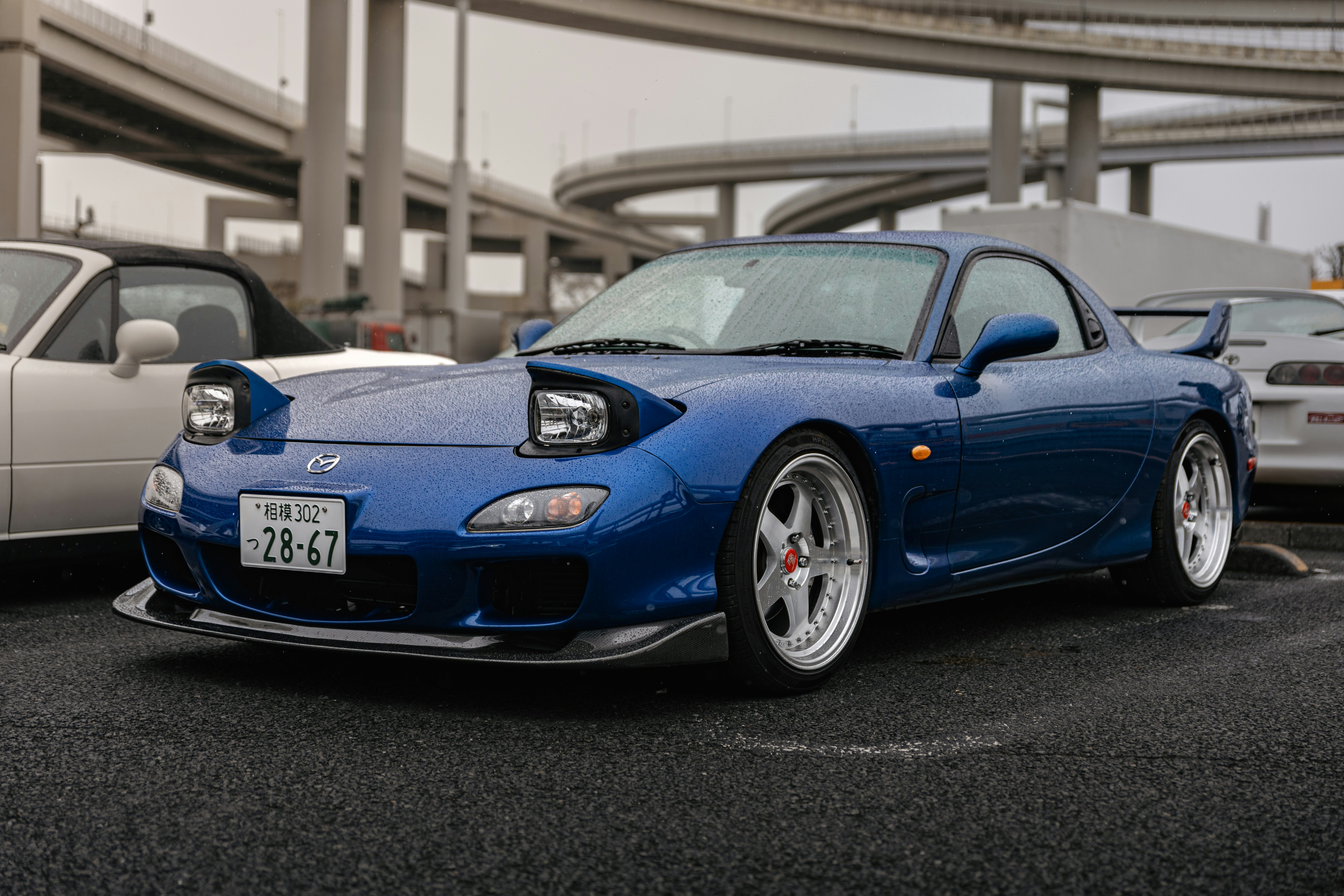 Photo by shoham_avisrur