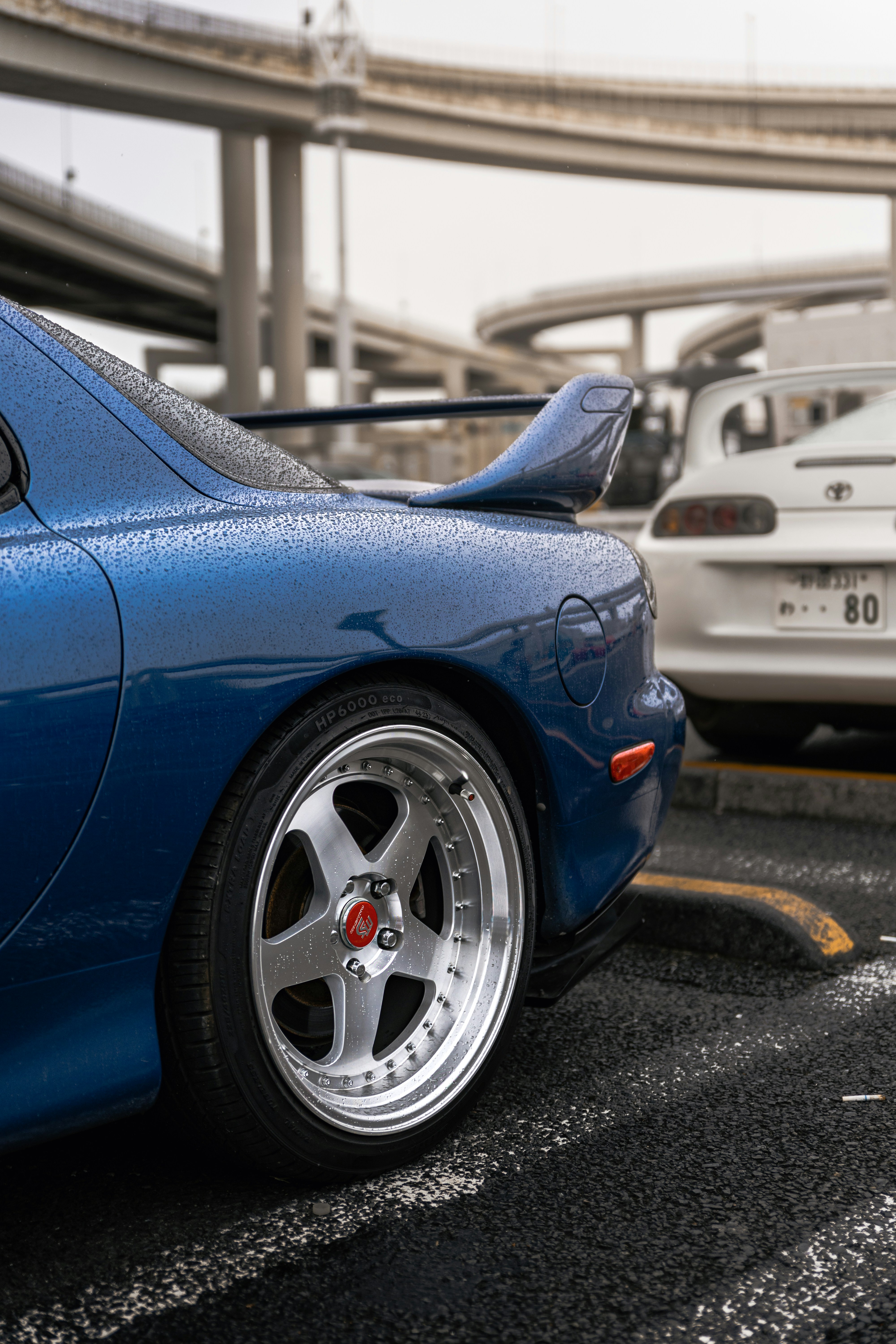 Photo by shoham_avisrur