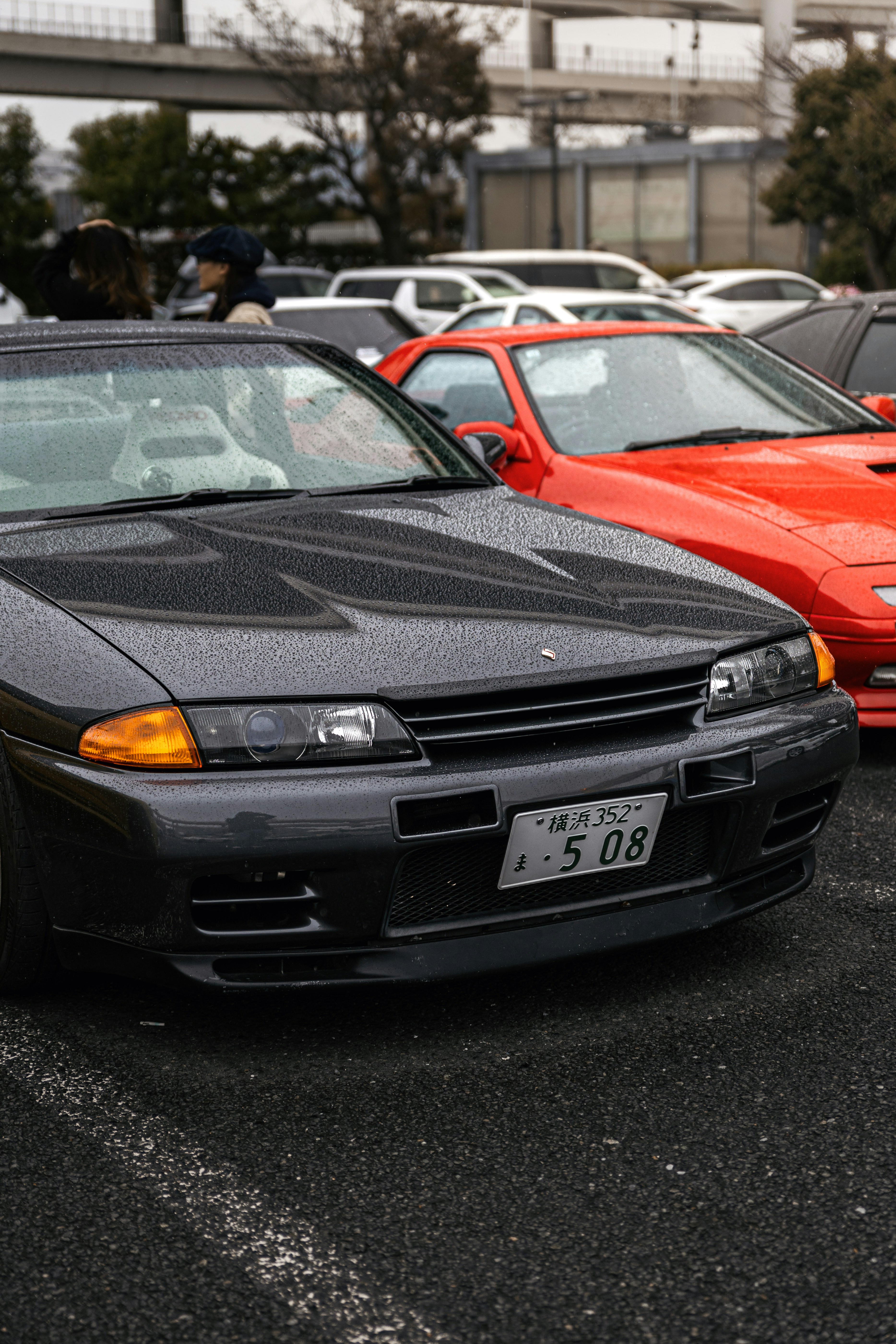 Photo by shoham_avisrur