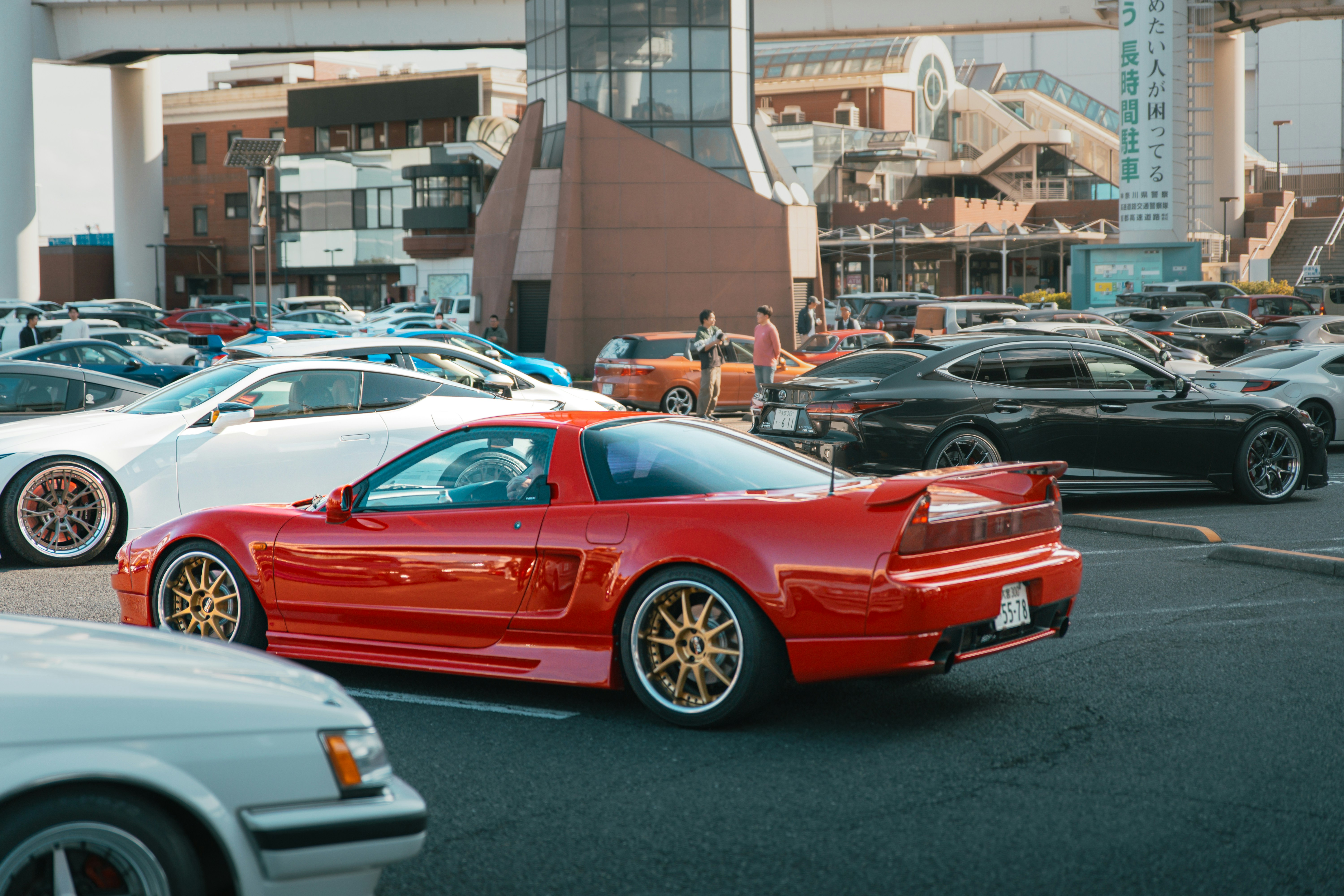 Photo by shoham_avisrur