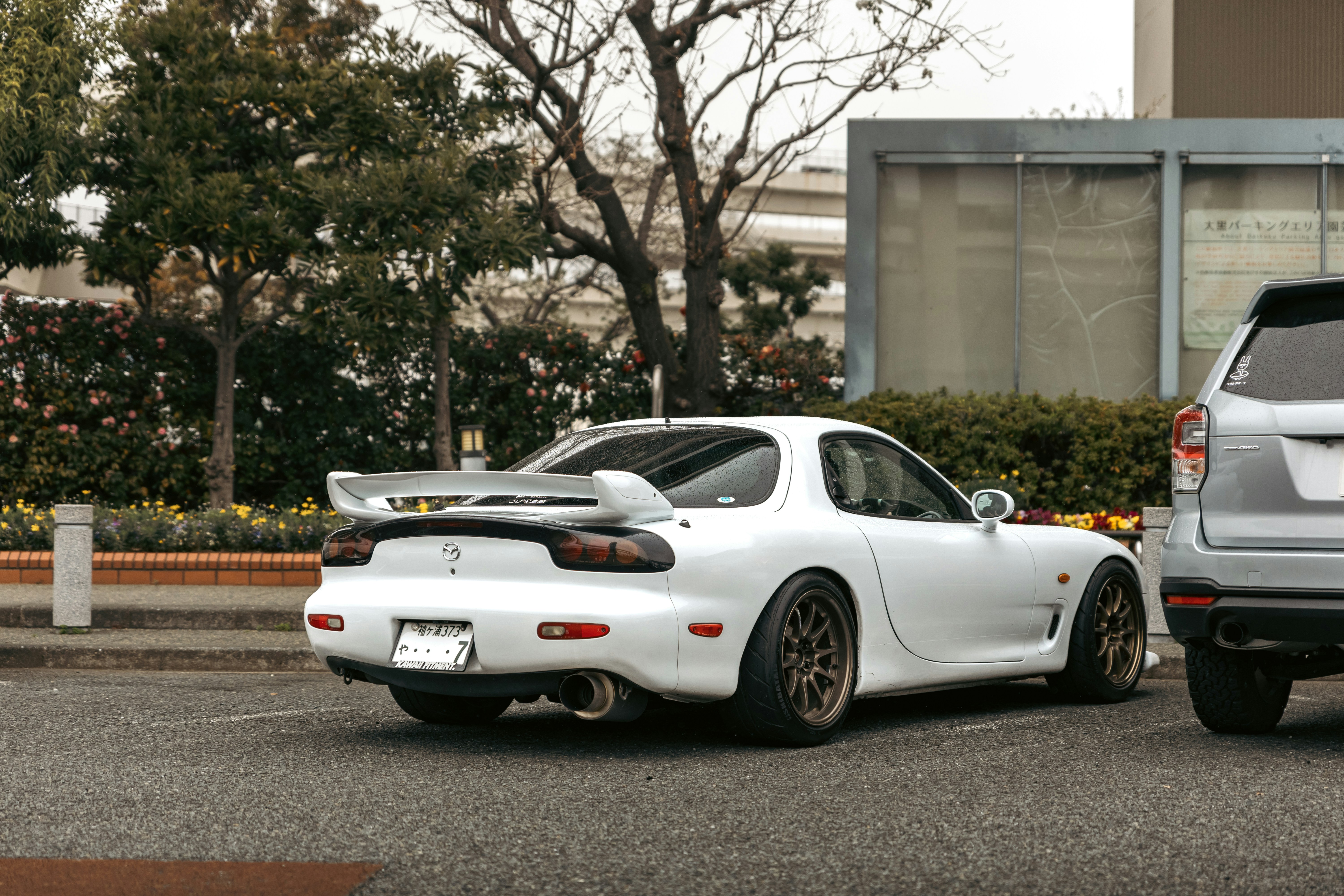 Photo by shoham_avisrur