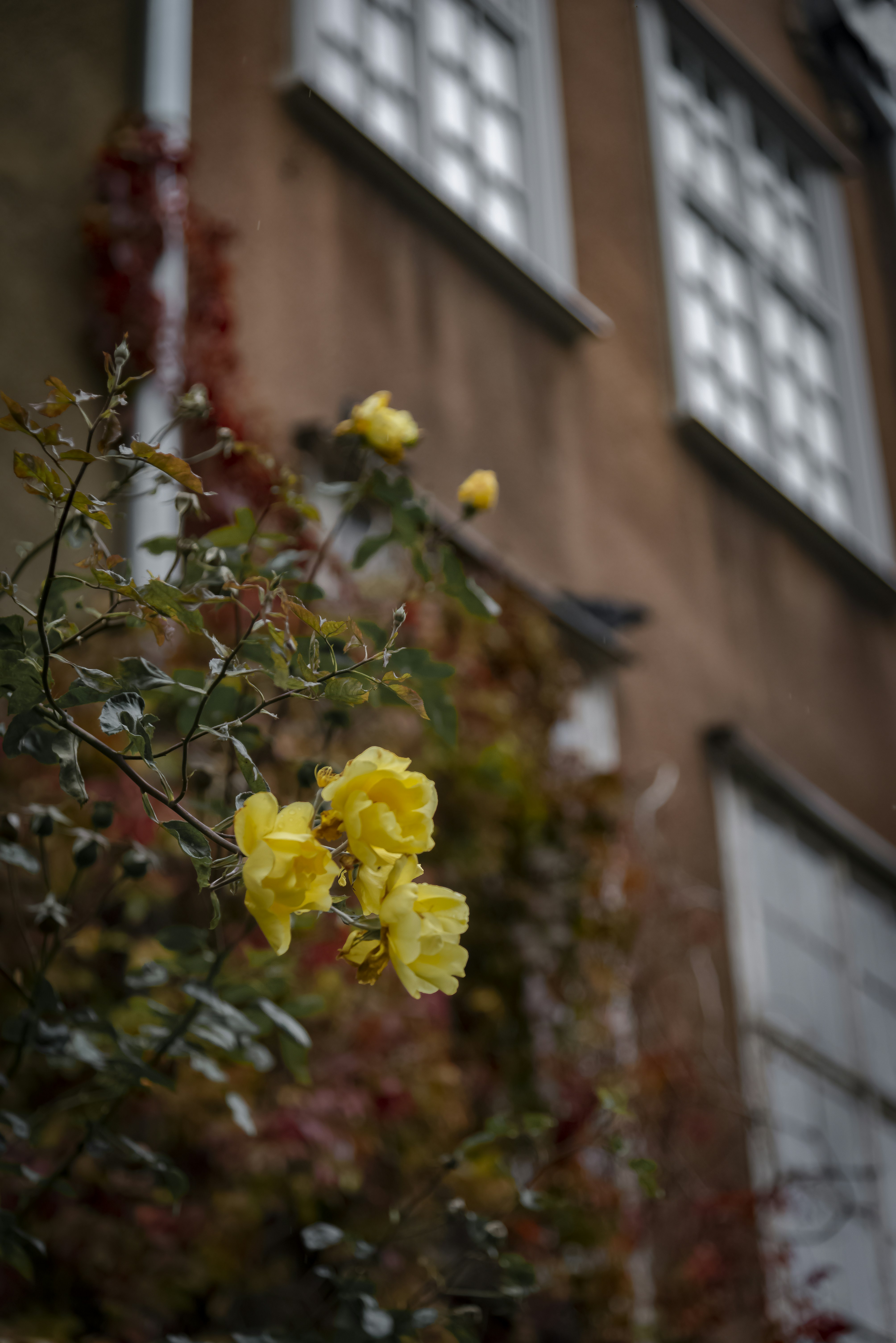 Photo by malwinanogaj