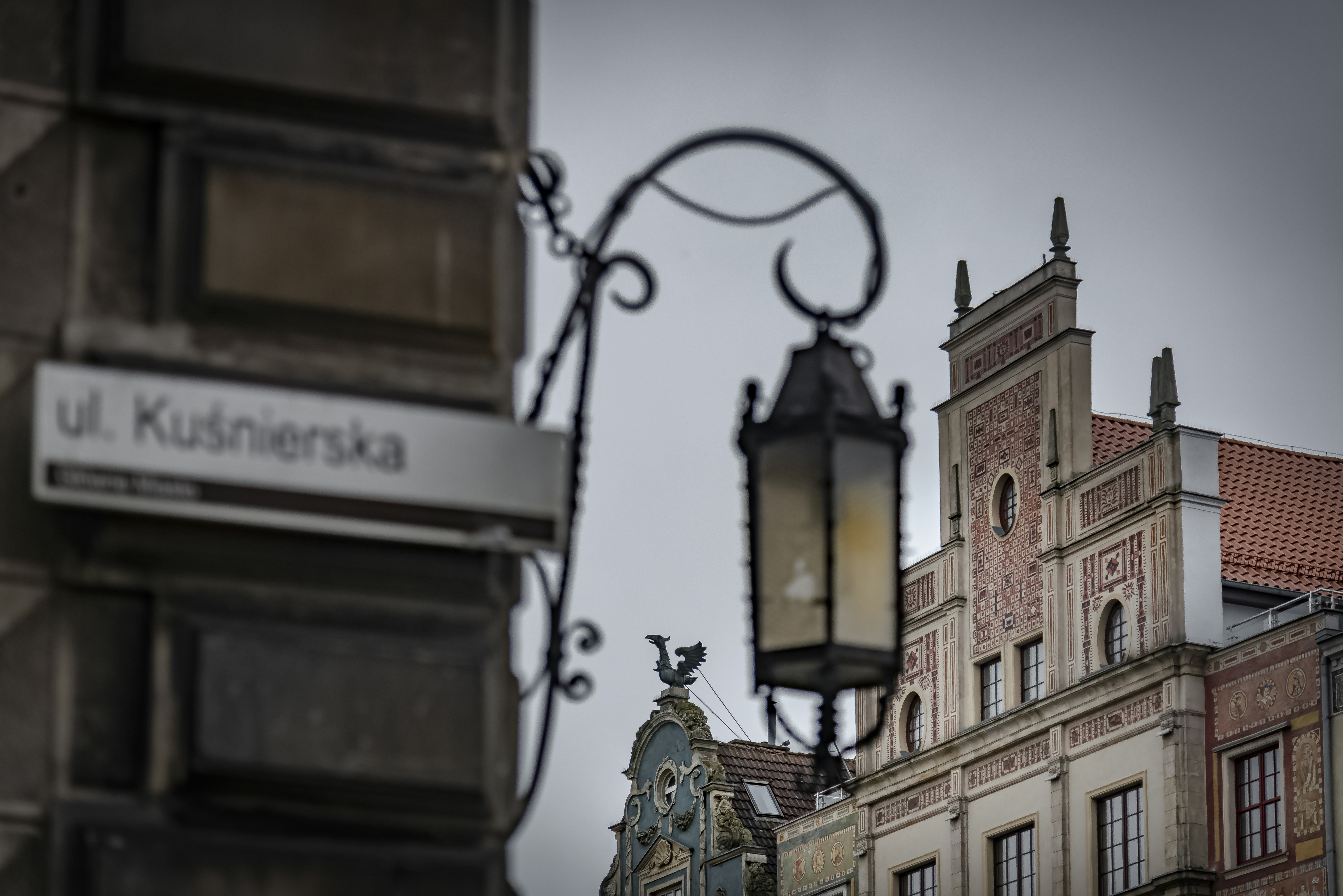 "Łapa Na Pulsie" Specjalistyczne Centrum Weterynaryjne lek. wet. Marta Boruczkowska