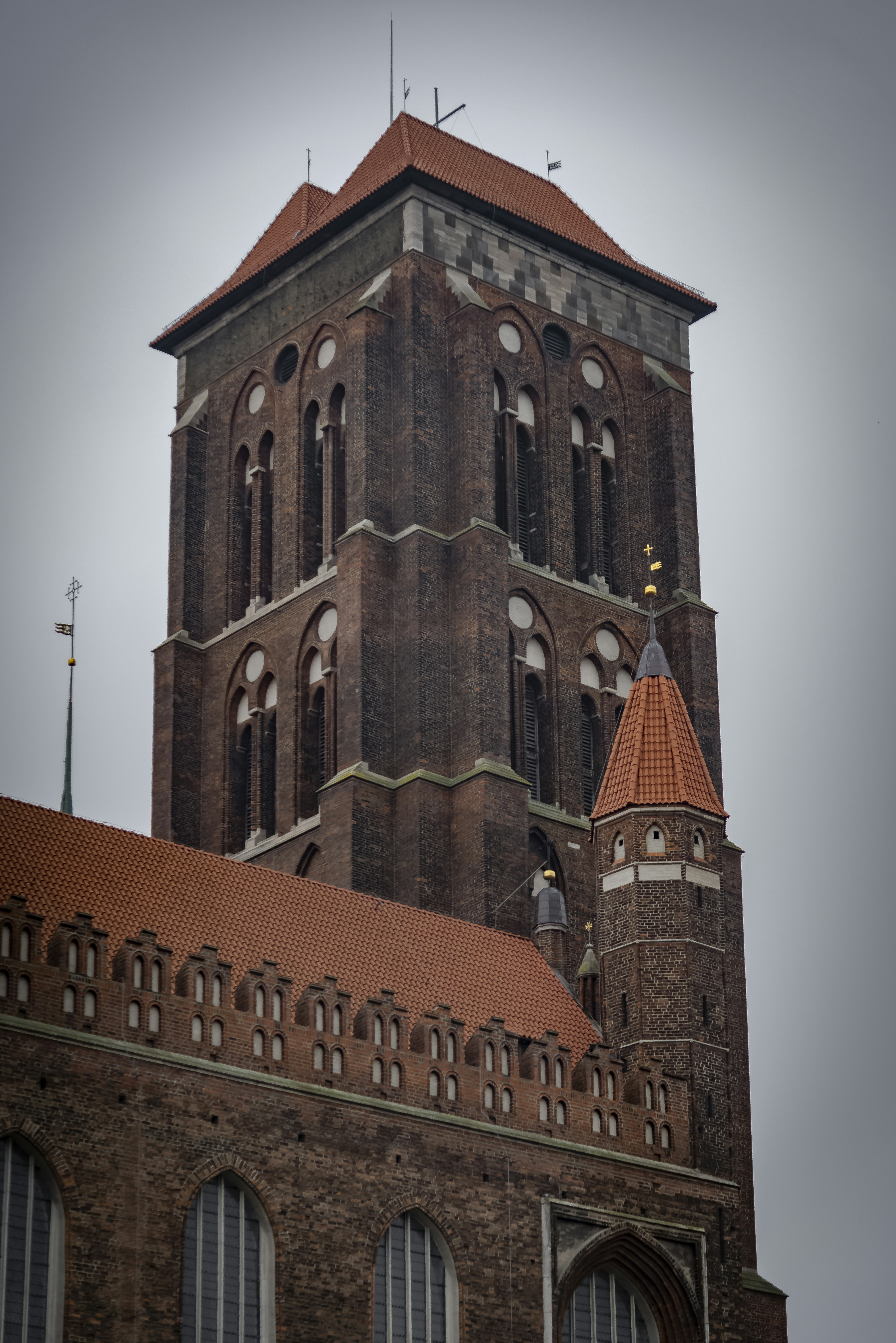 Photo by malwinanogaj