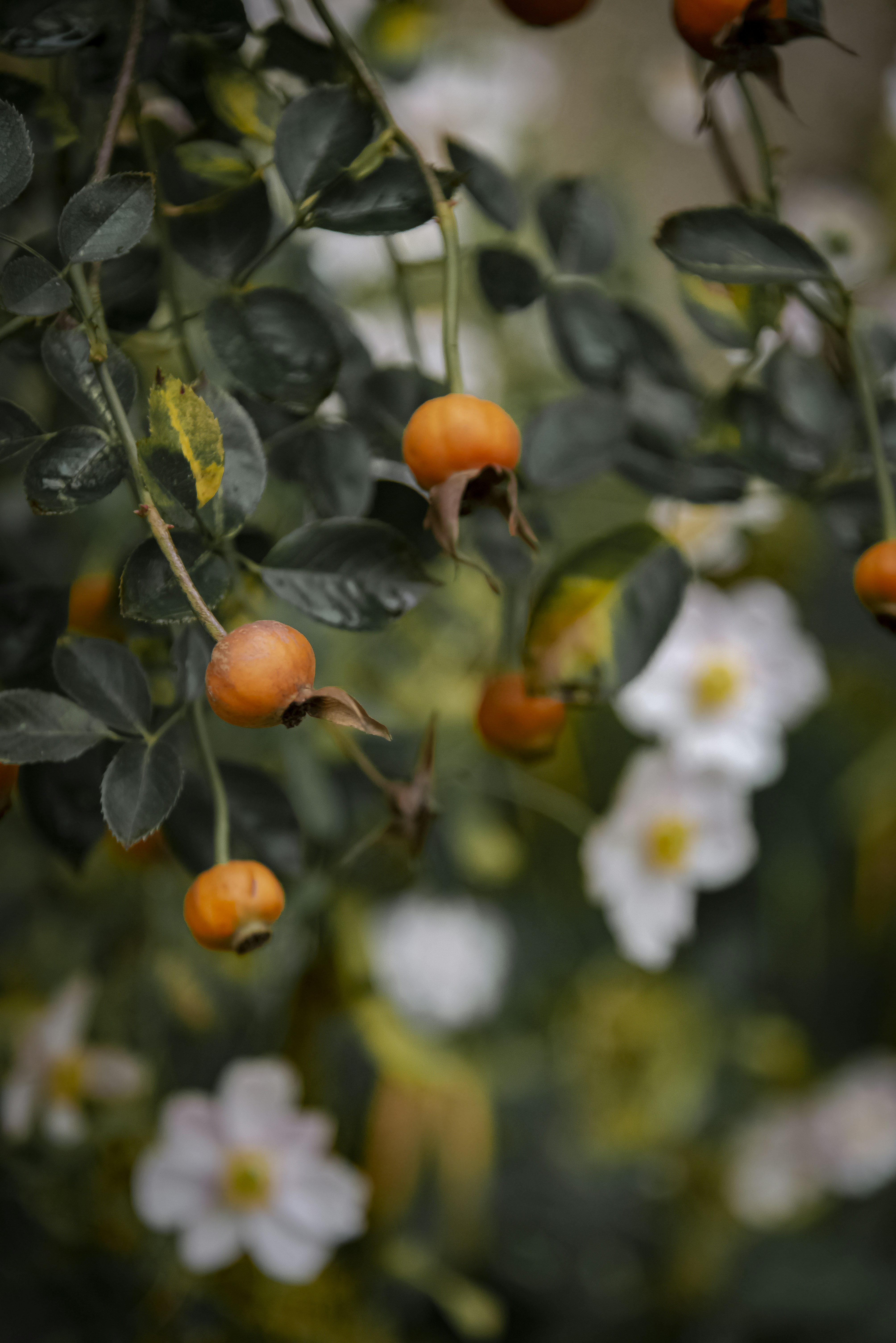 Photo by malwinanogaj