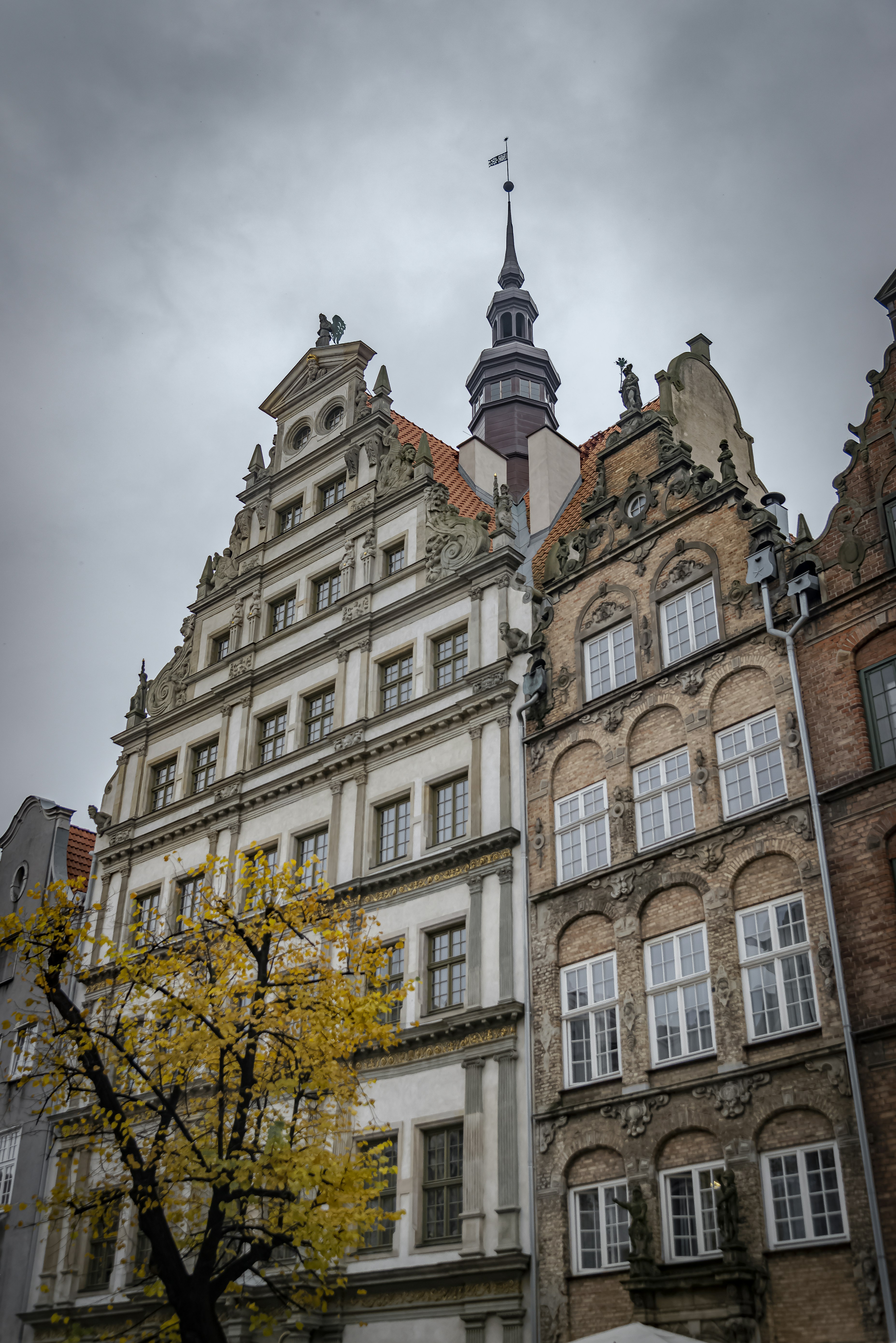 Photo by malwinanogaj