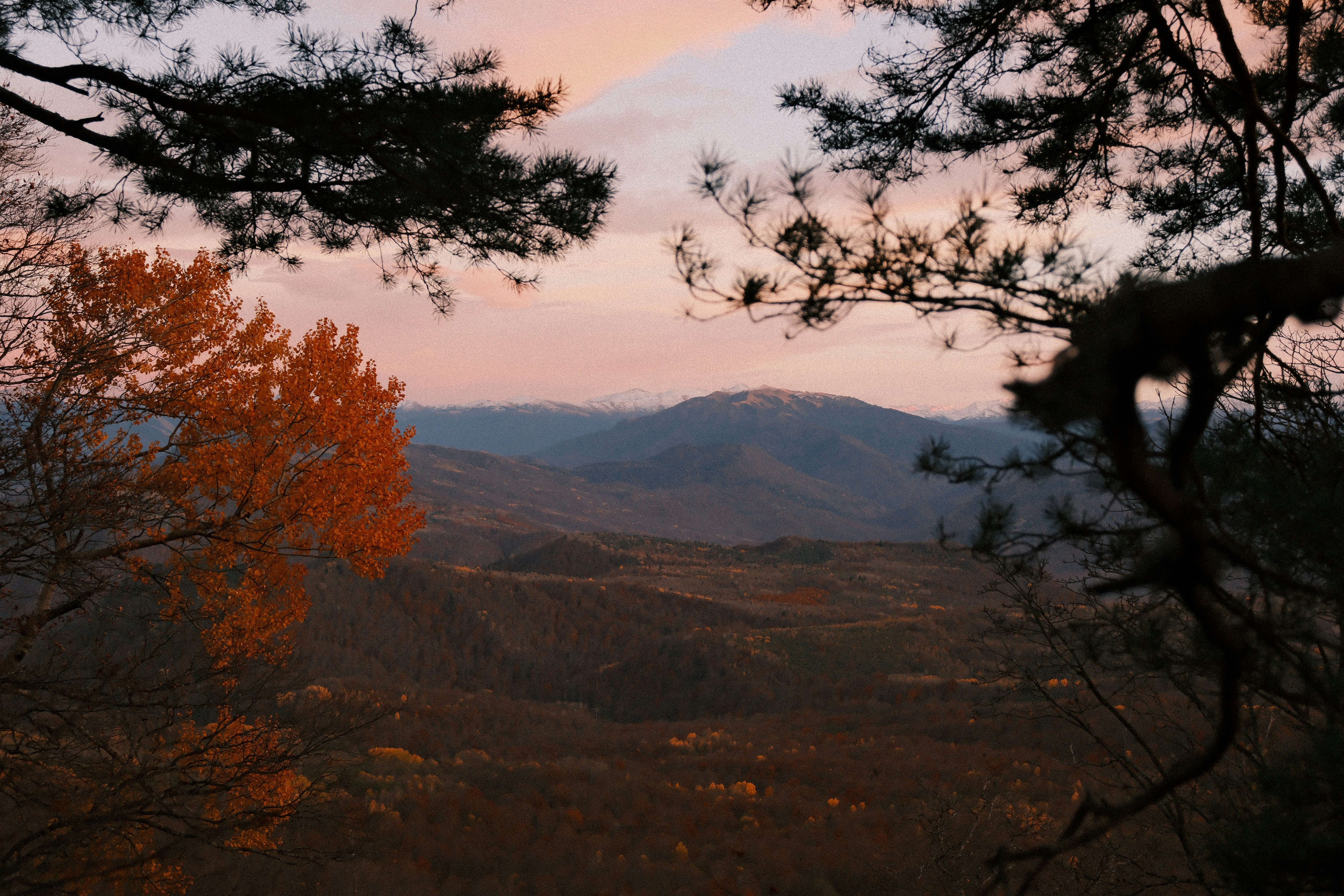 Photo by nikan_tanya