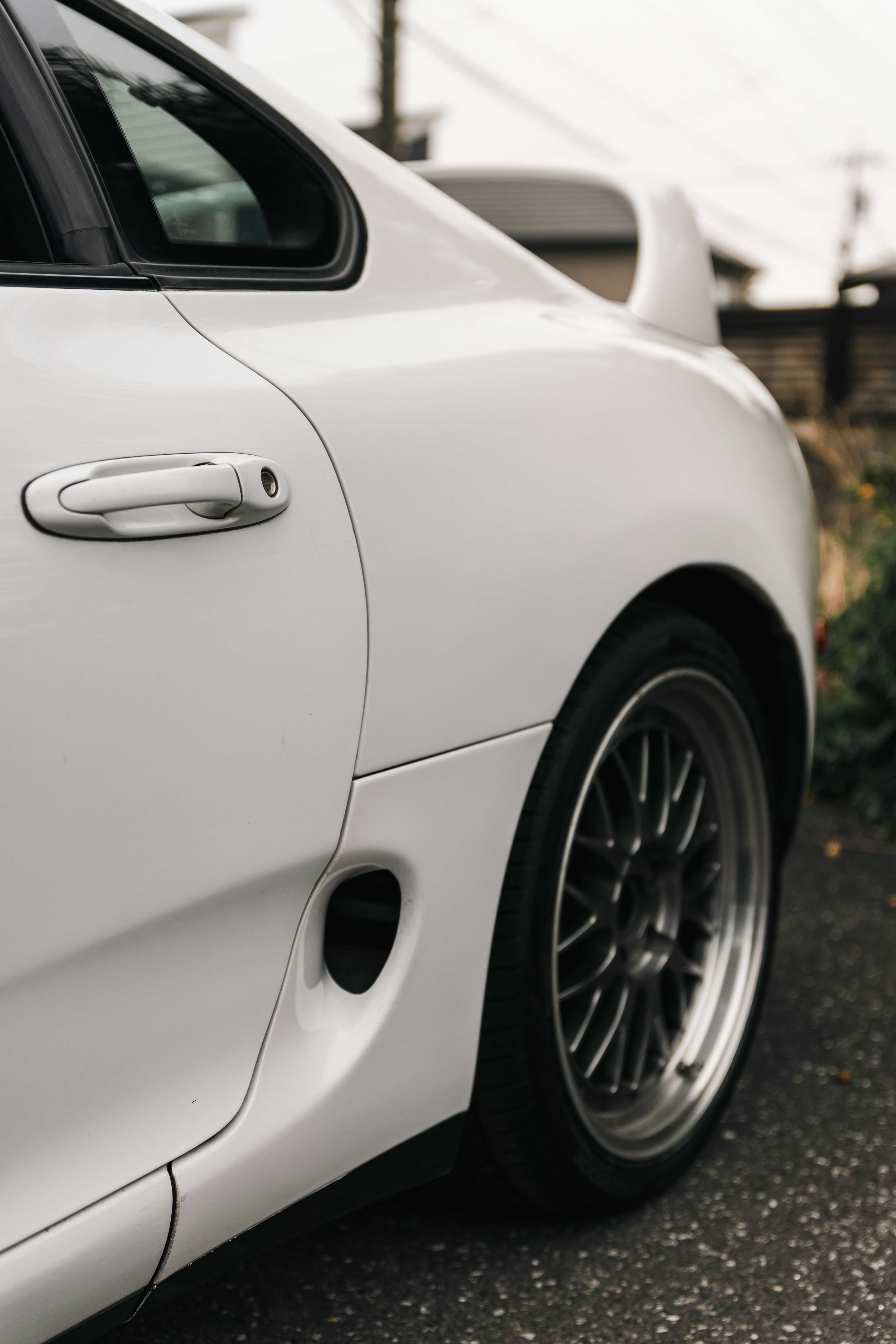 Photo by shoham_avisrur