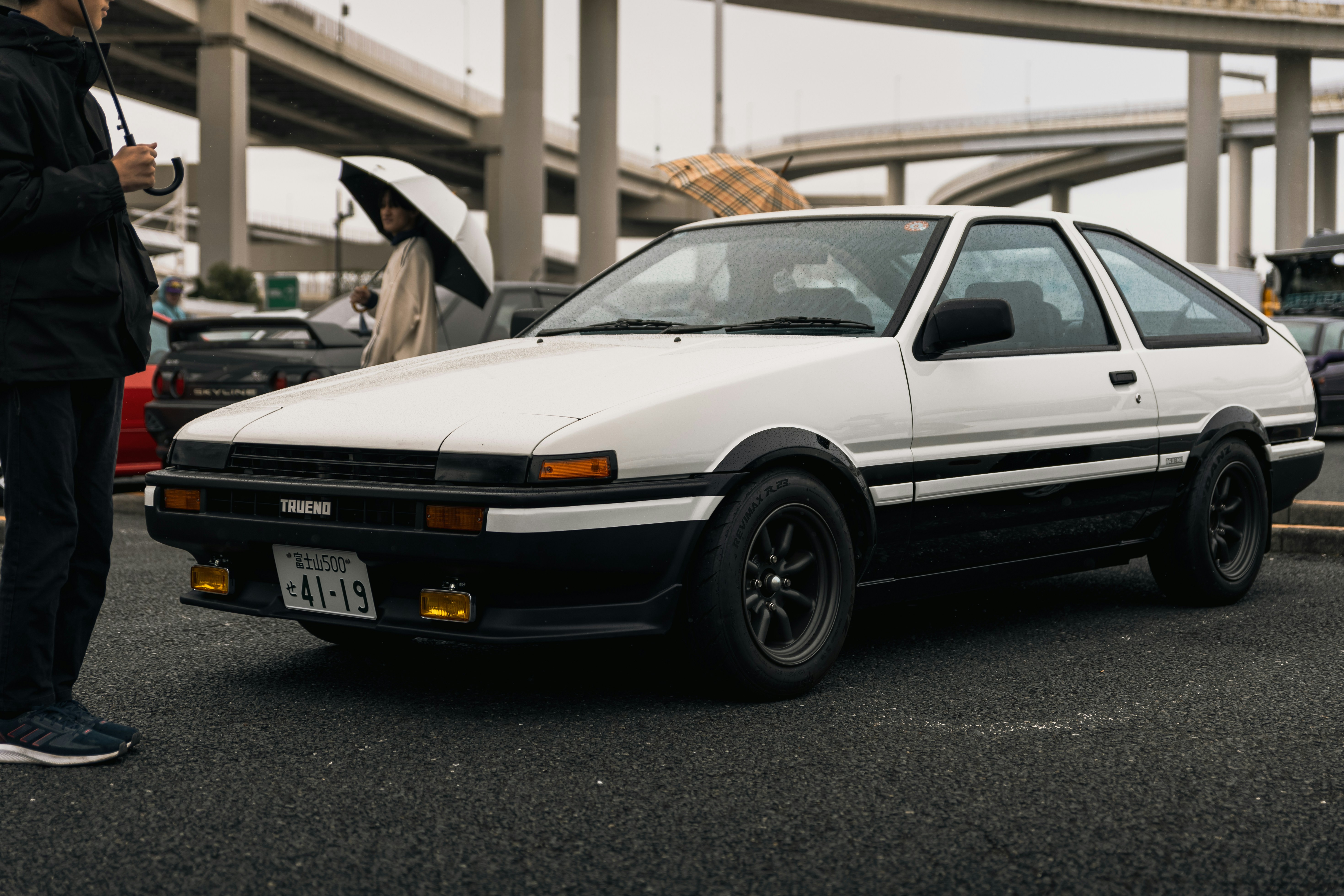 Photo by shoham_avisrur