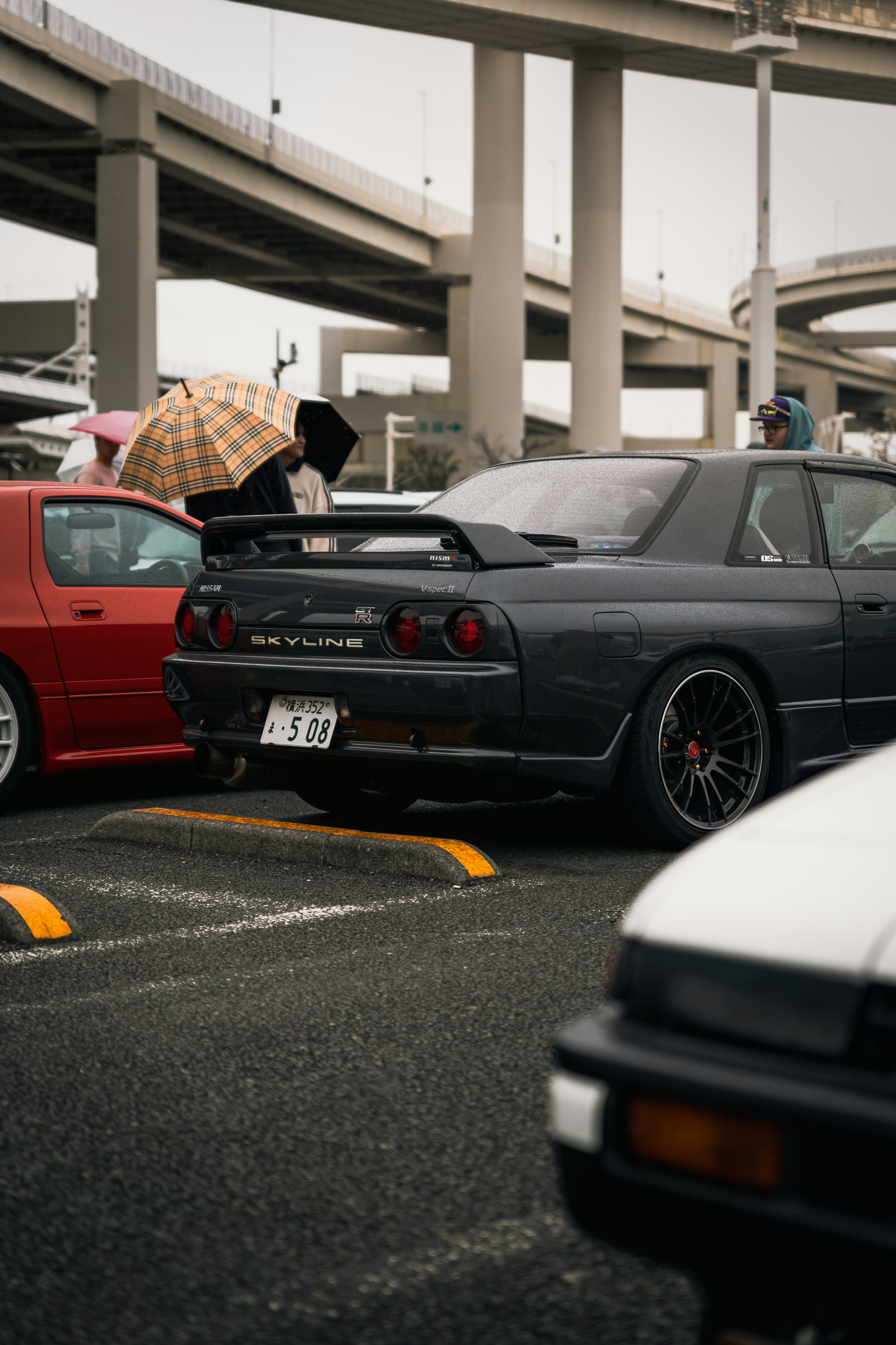 Photo by shoham_avisrur