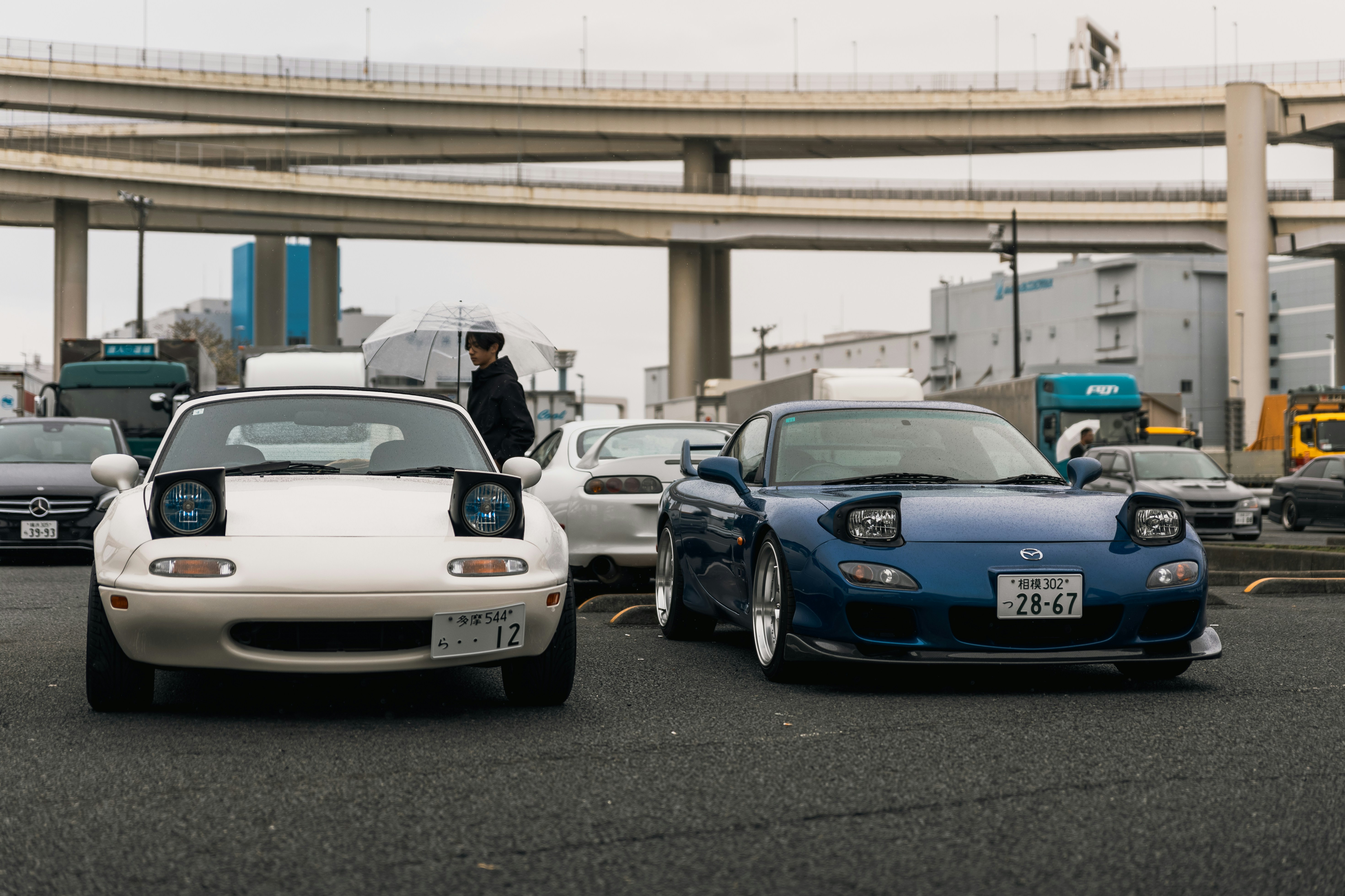 Art in Athletics: How Photography Captures Sport Dynamics