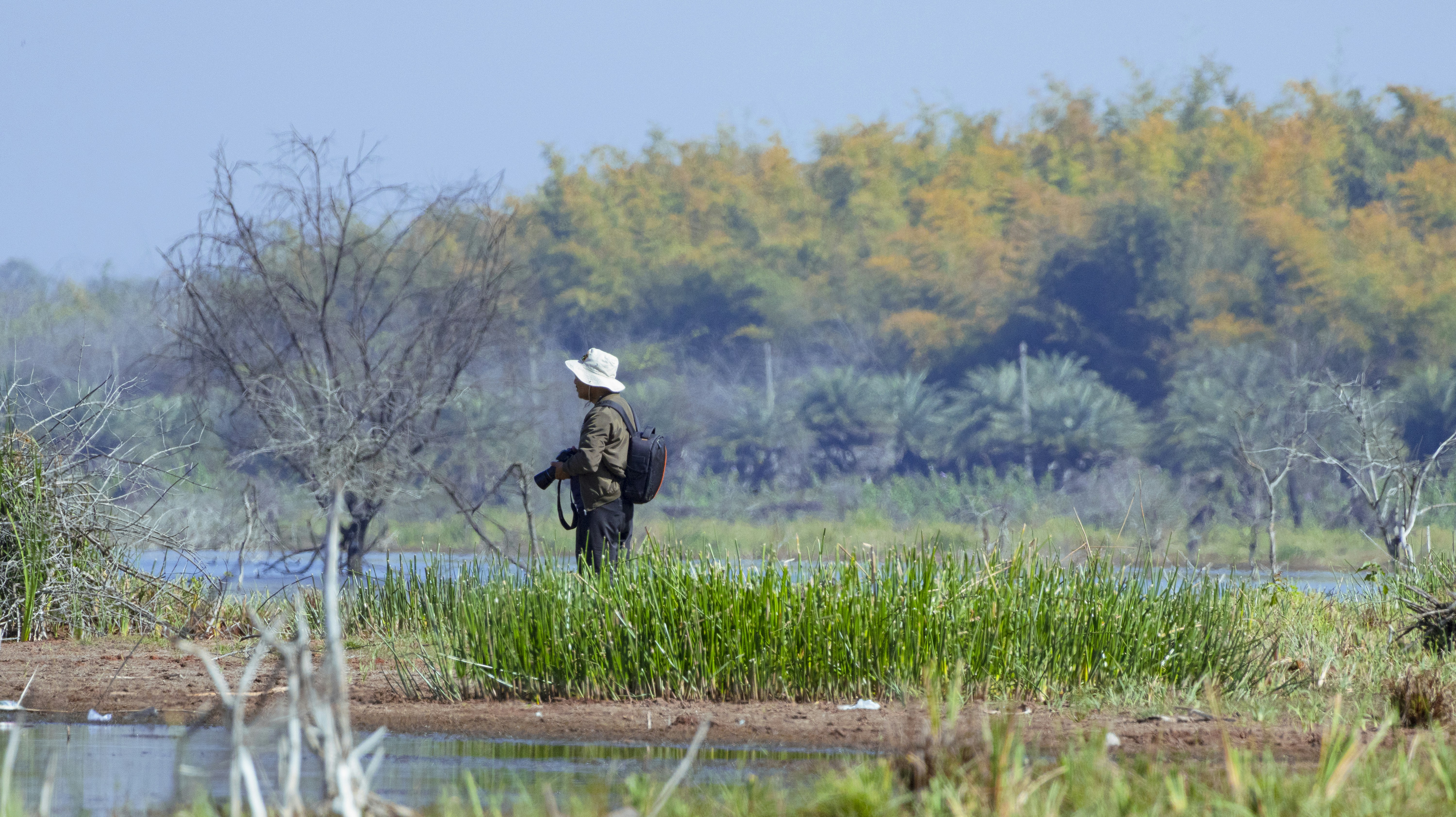 Photo by traveling_feathers