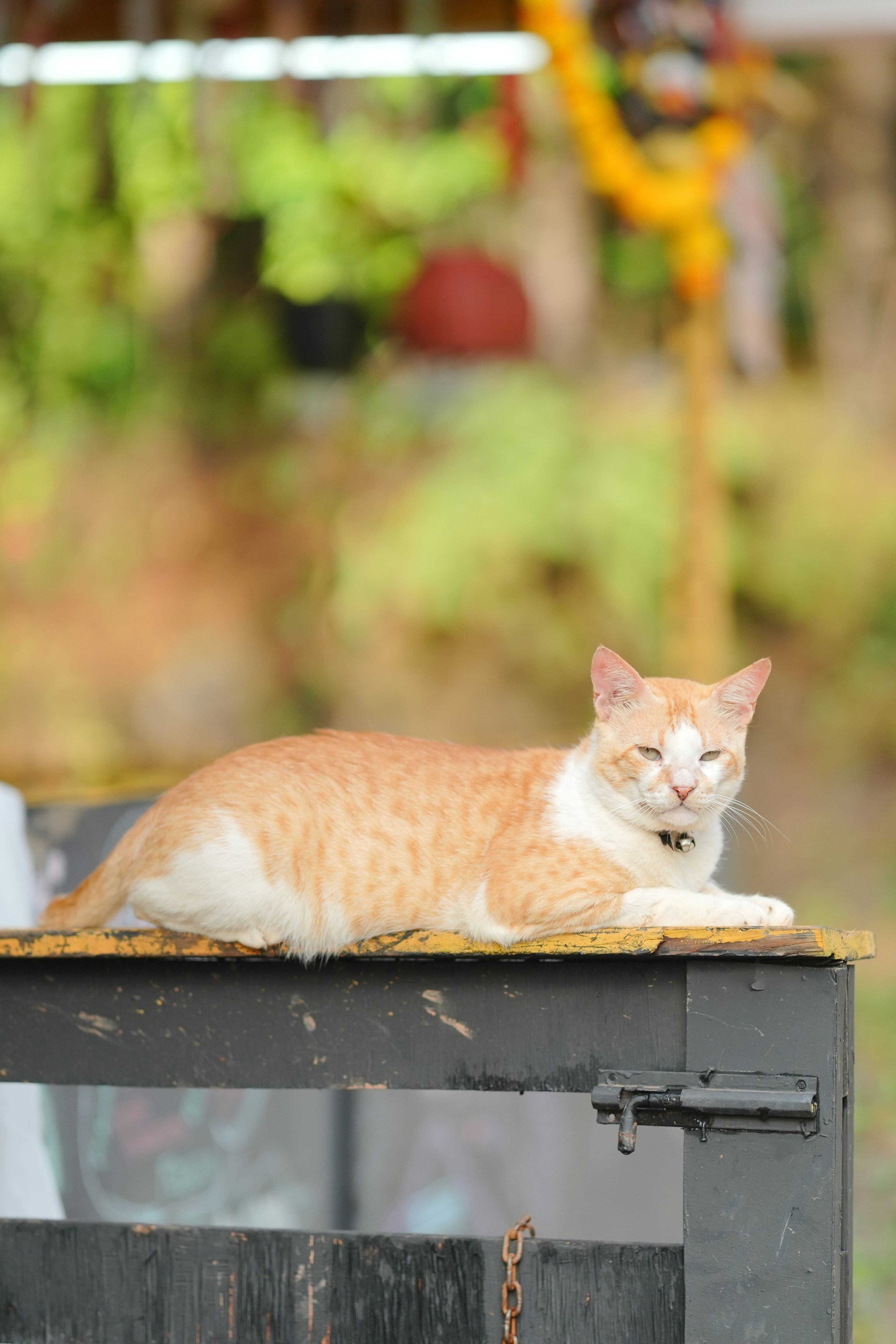 Photo by prakashraophotography