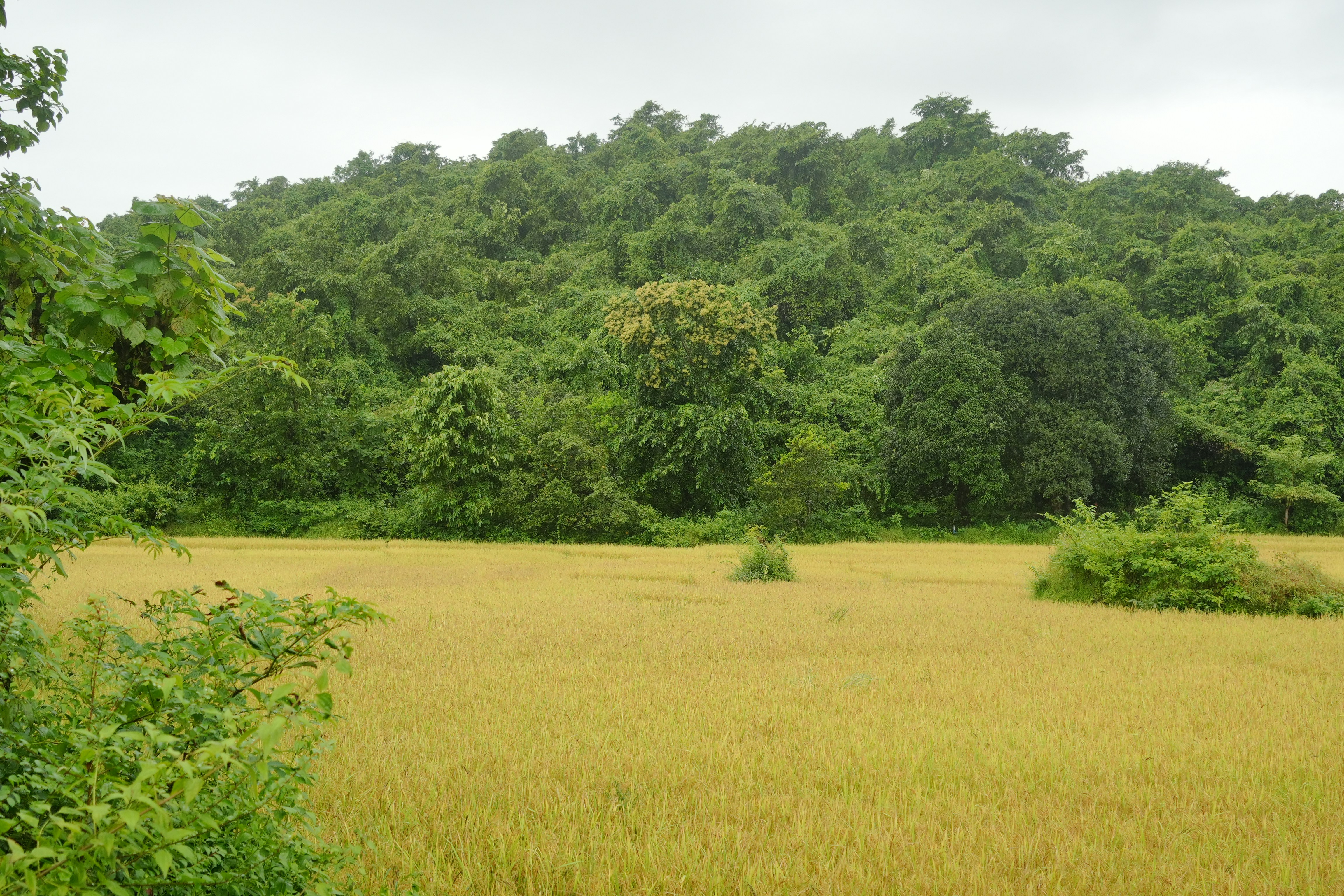 Photo by prakashraophotography