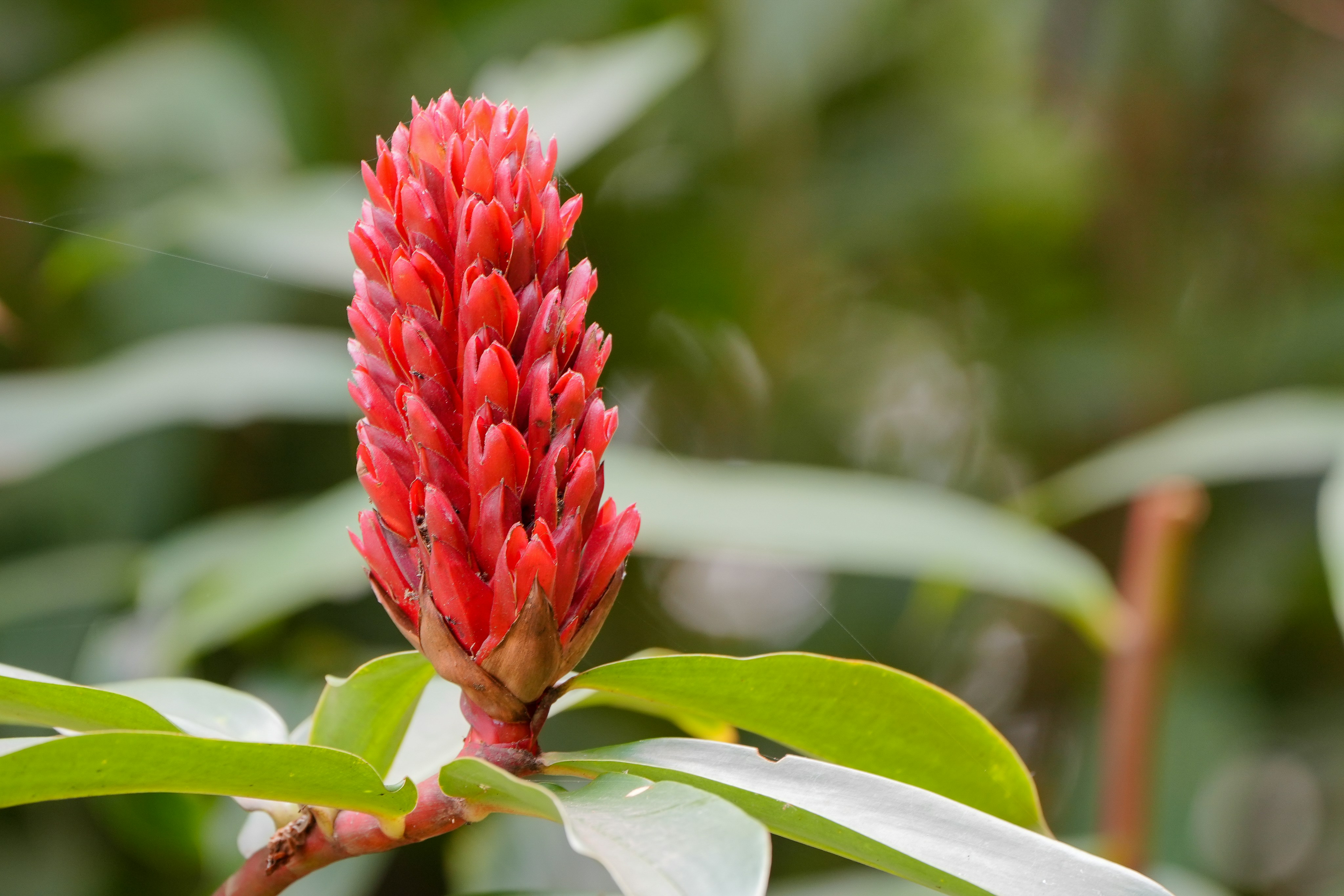 Photo by prakashraophotography