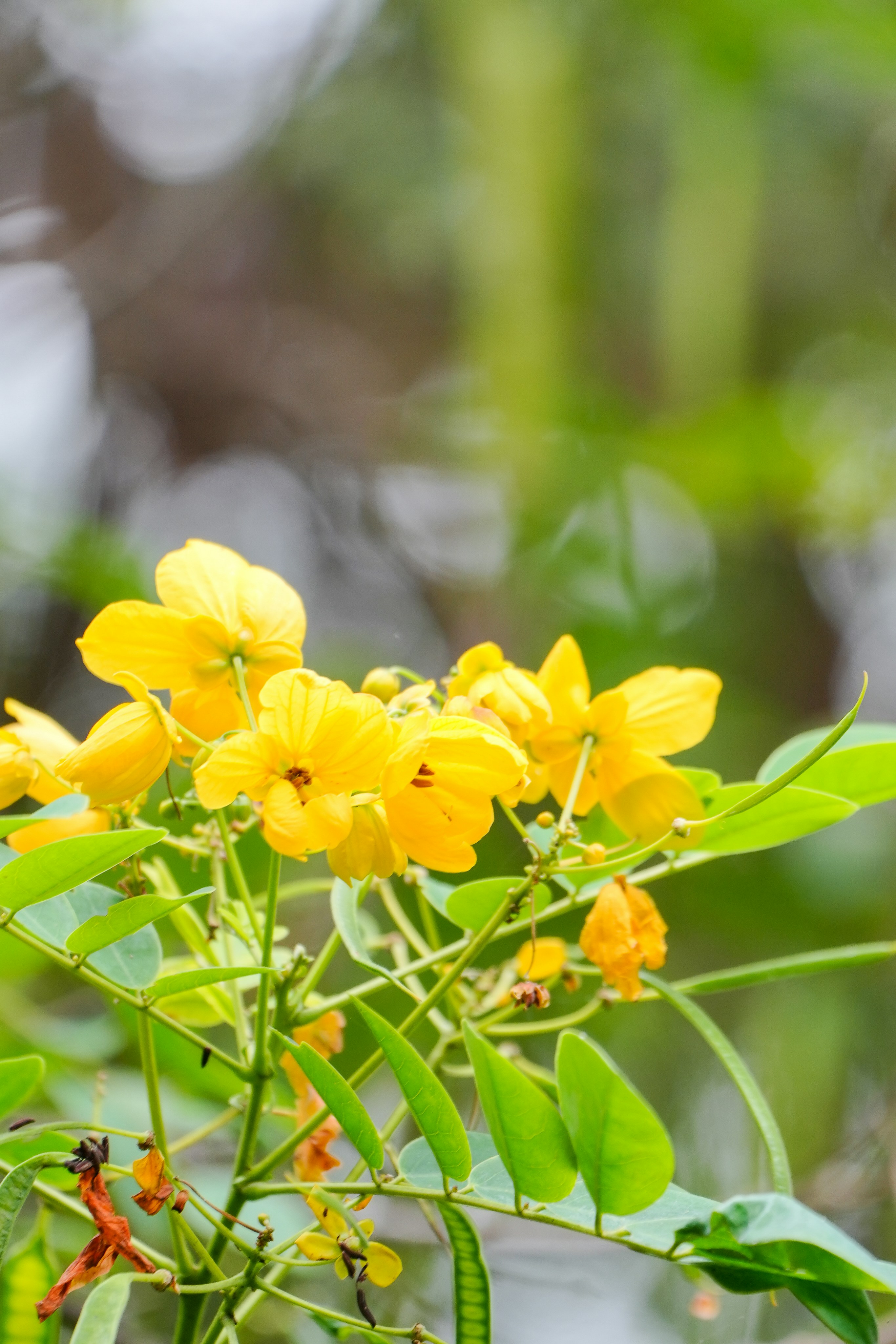 Photo by prakashraophotography