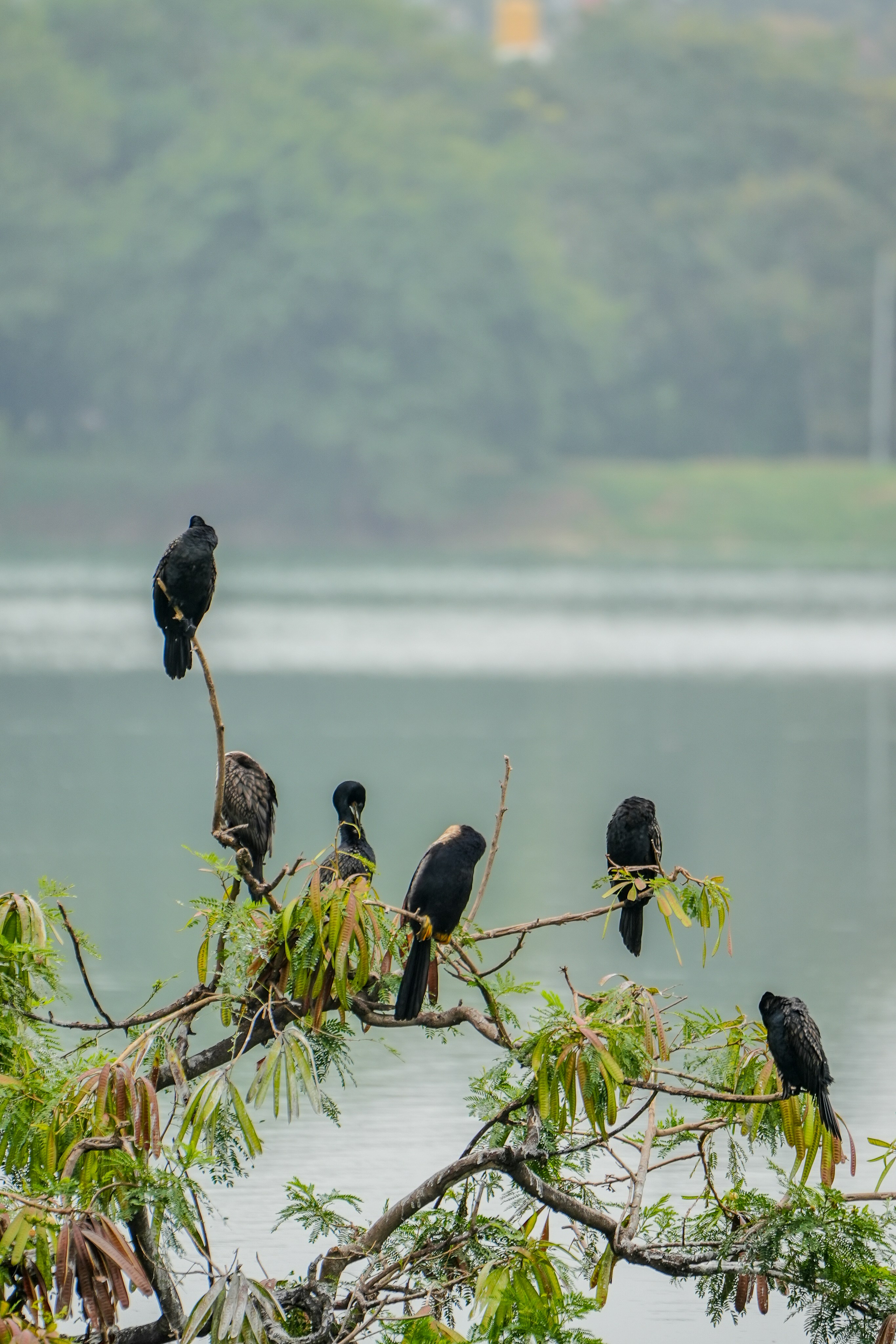 Photo by prakashraophotography