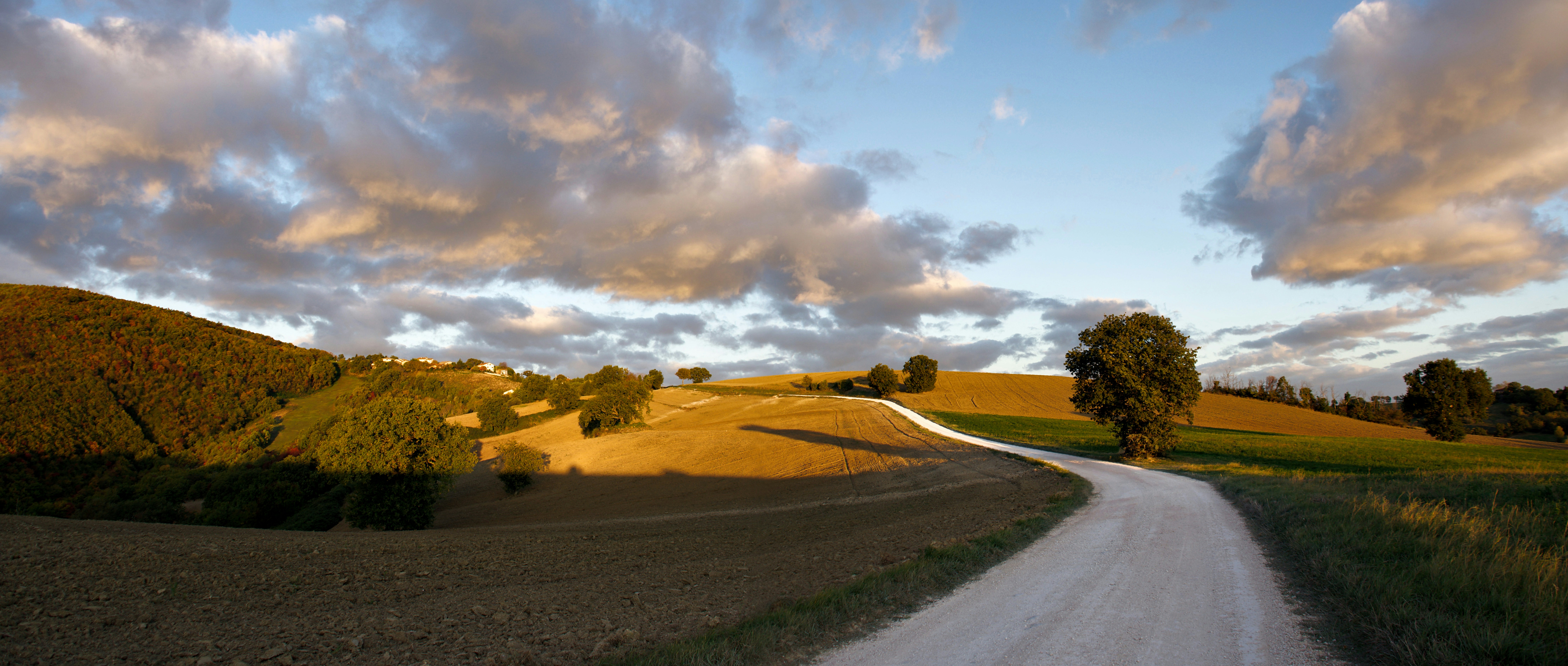 Photo by mariobeducci