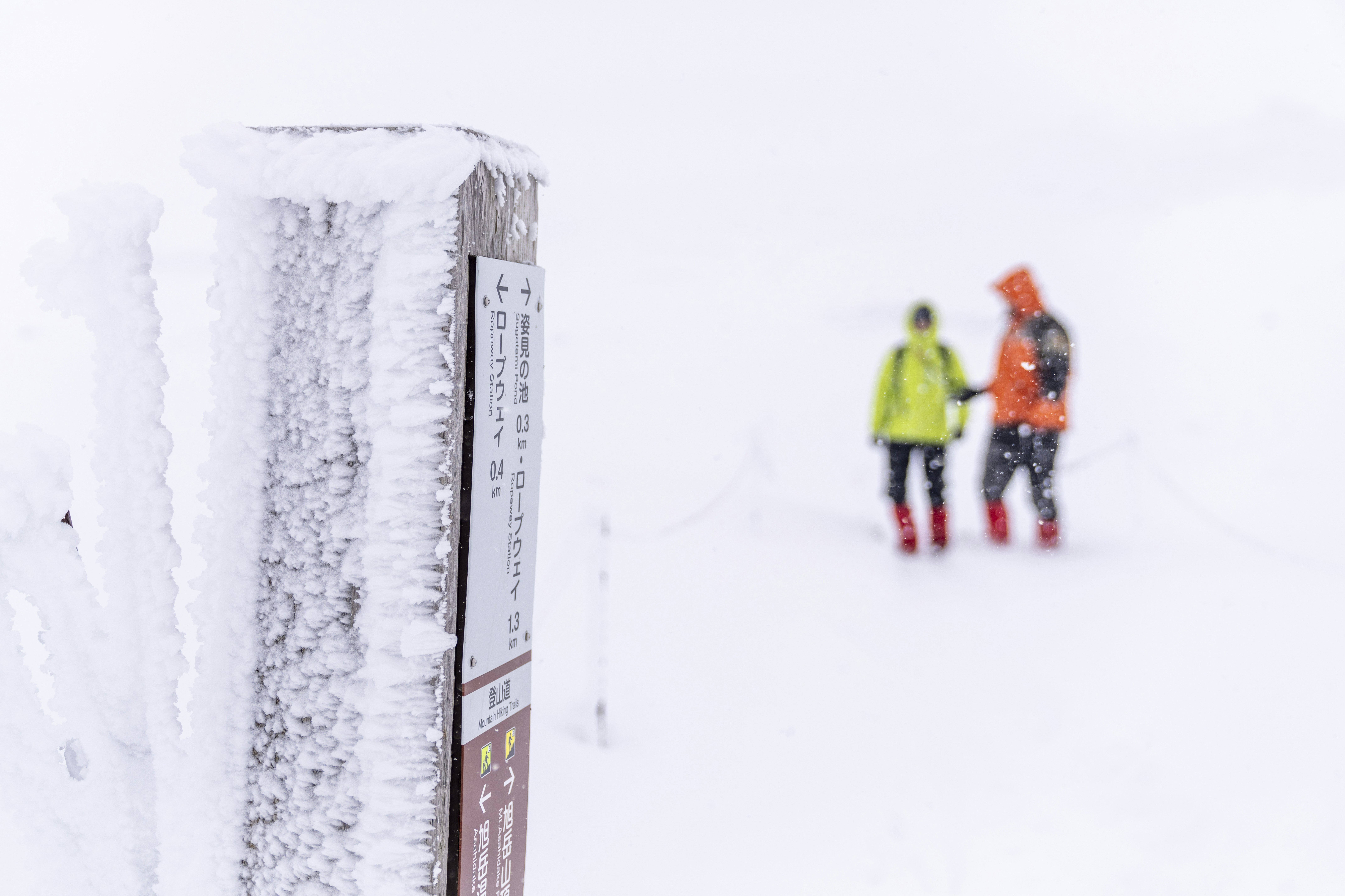 Two hikers in winter gear walk on snowy trail.