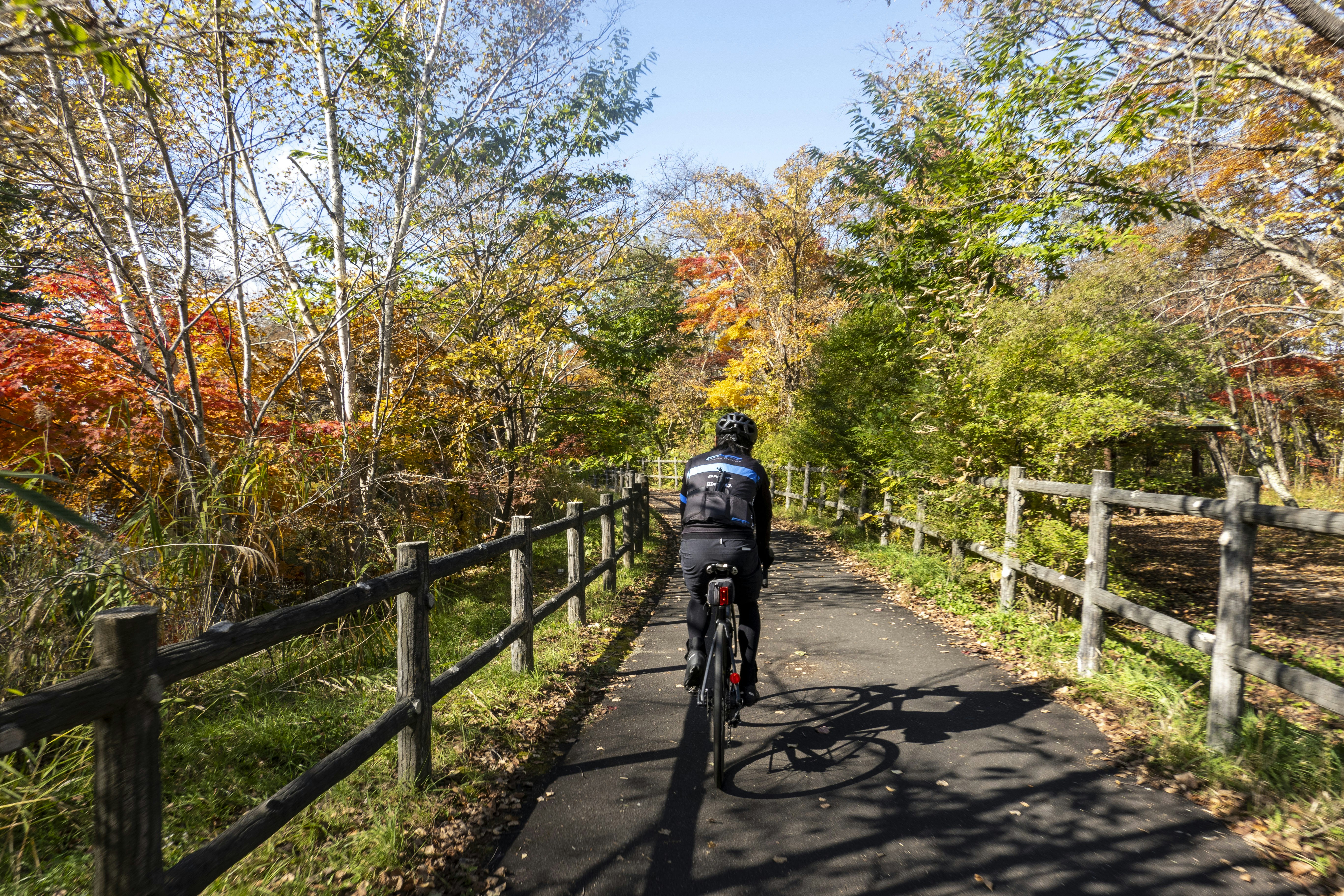 Photo by hendrikmorkel