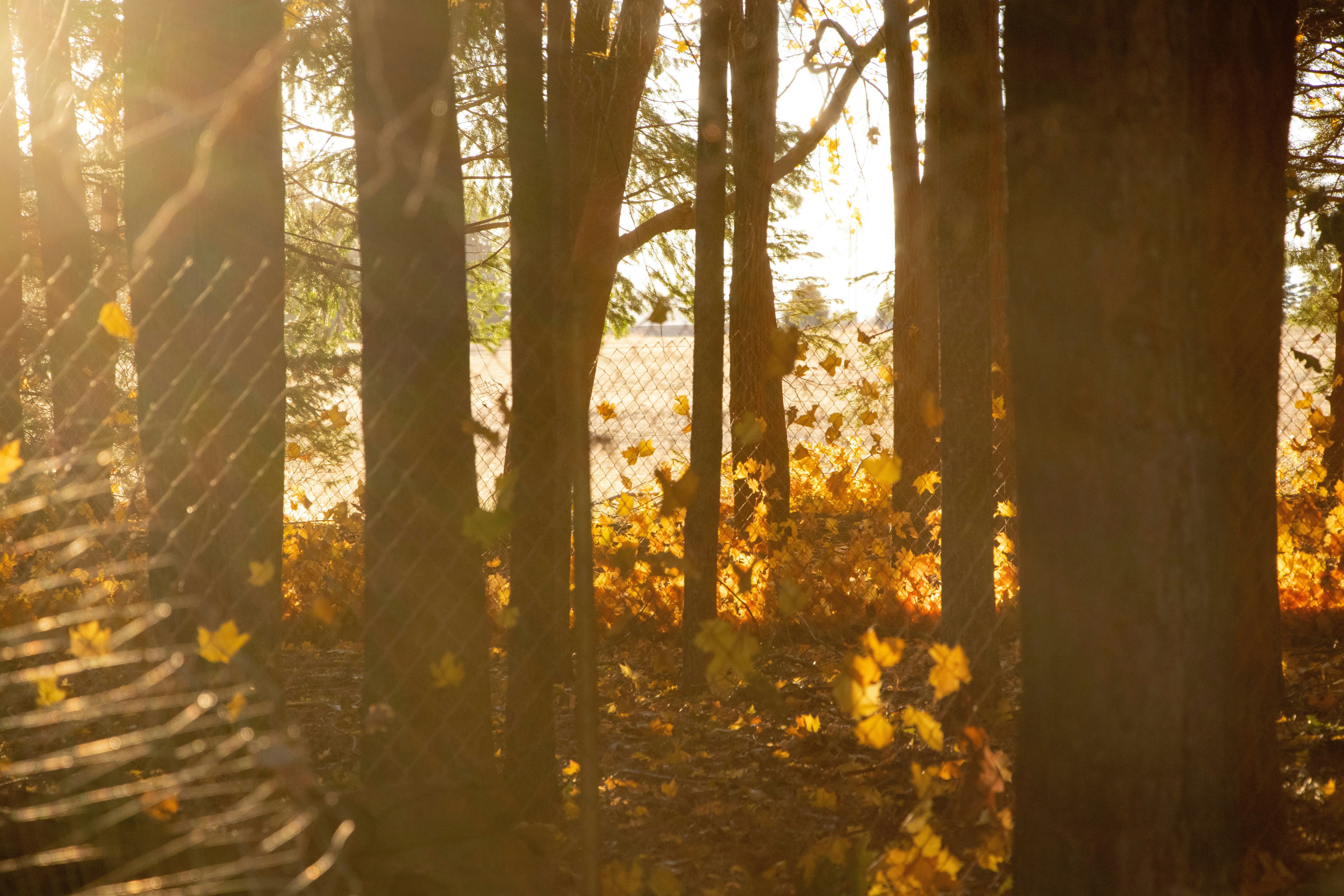 Photo by davidmcguire