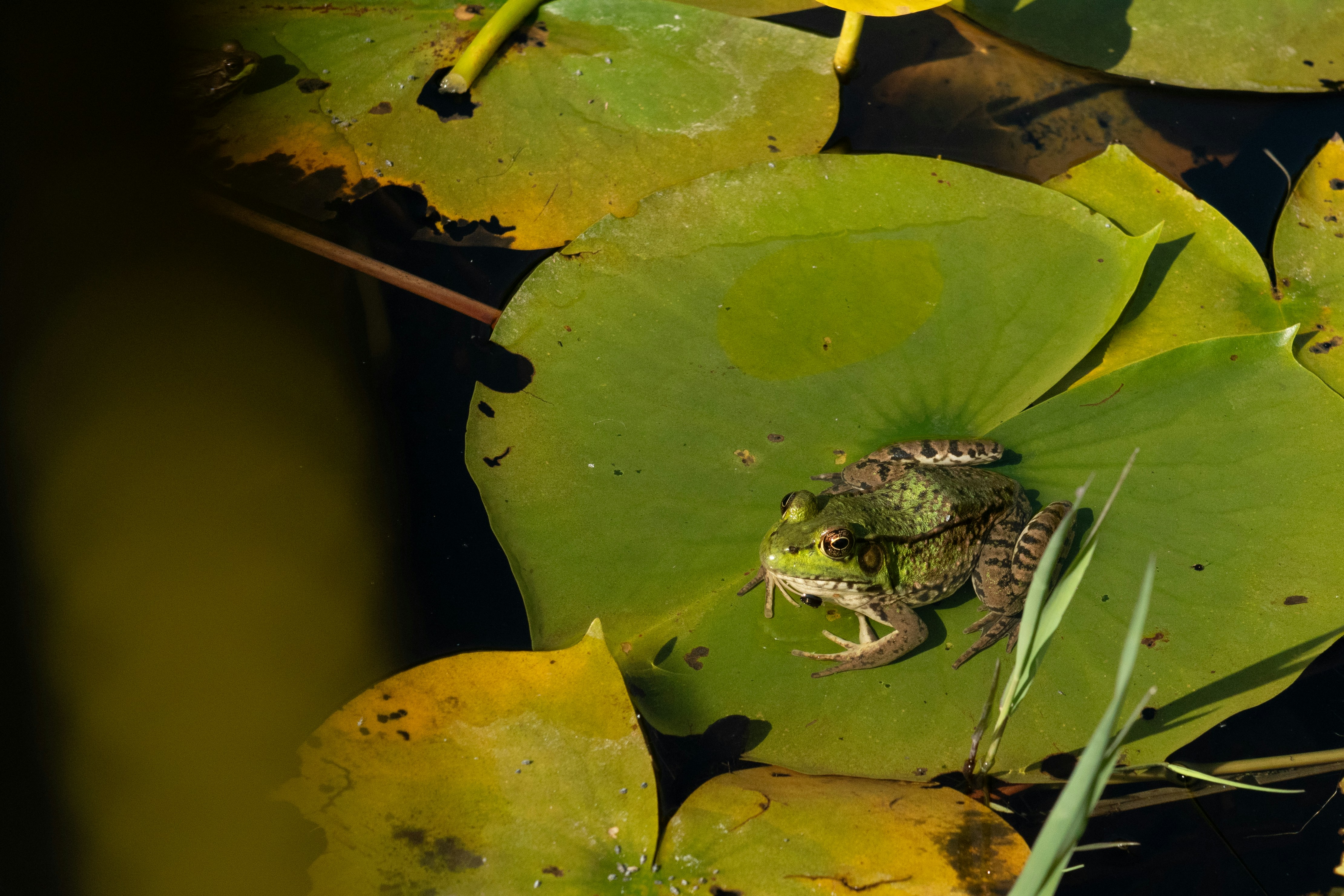 Photo by aliocreative