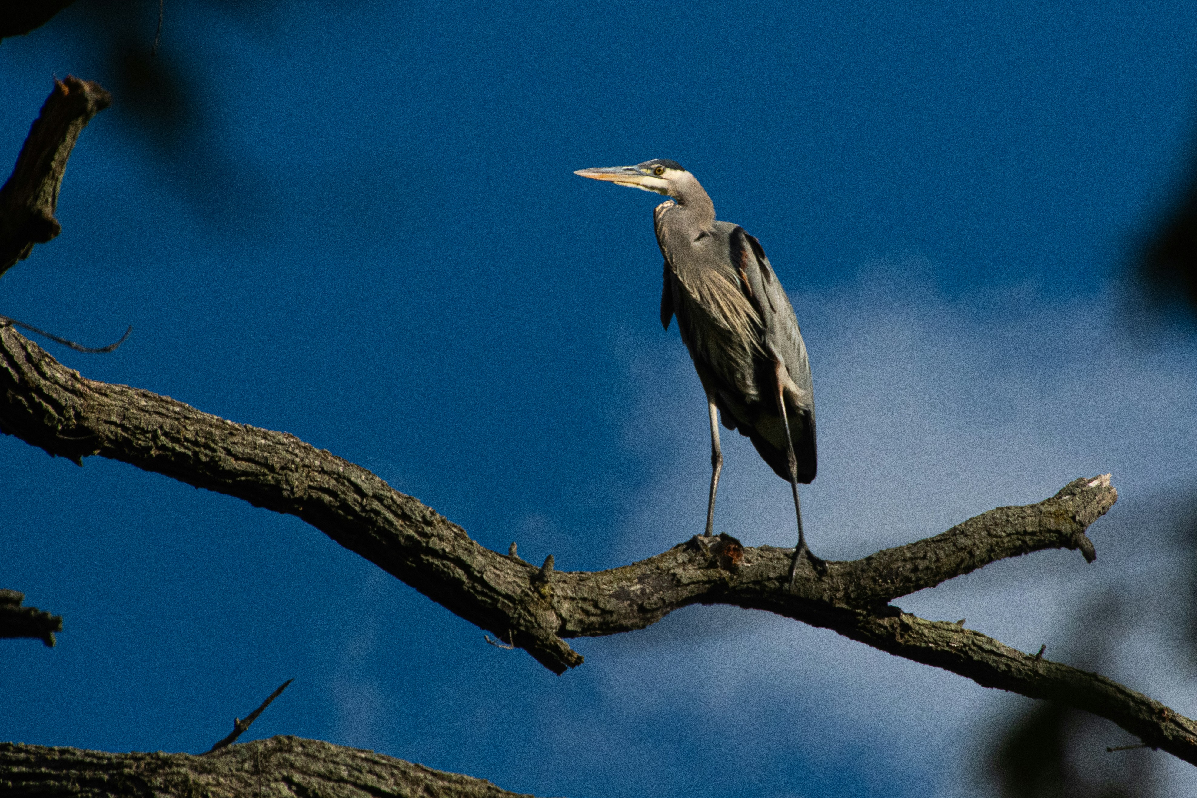 Photo by aliocreative