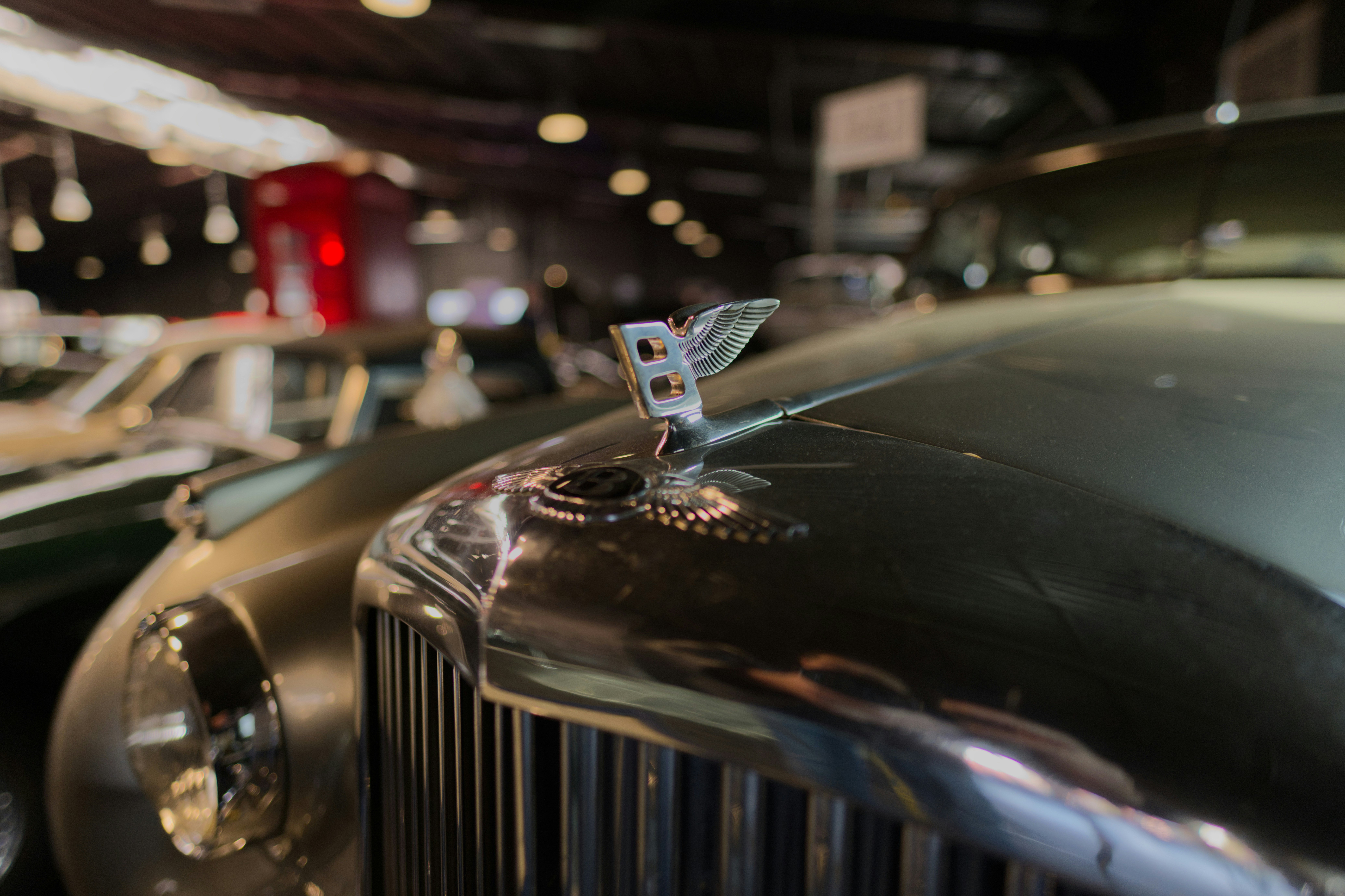 Photo by scholli1100