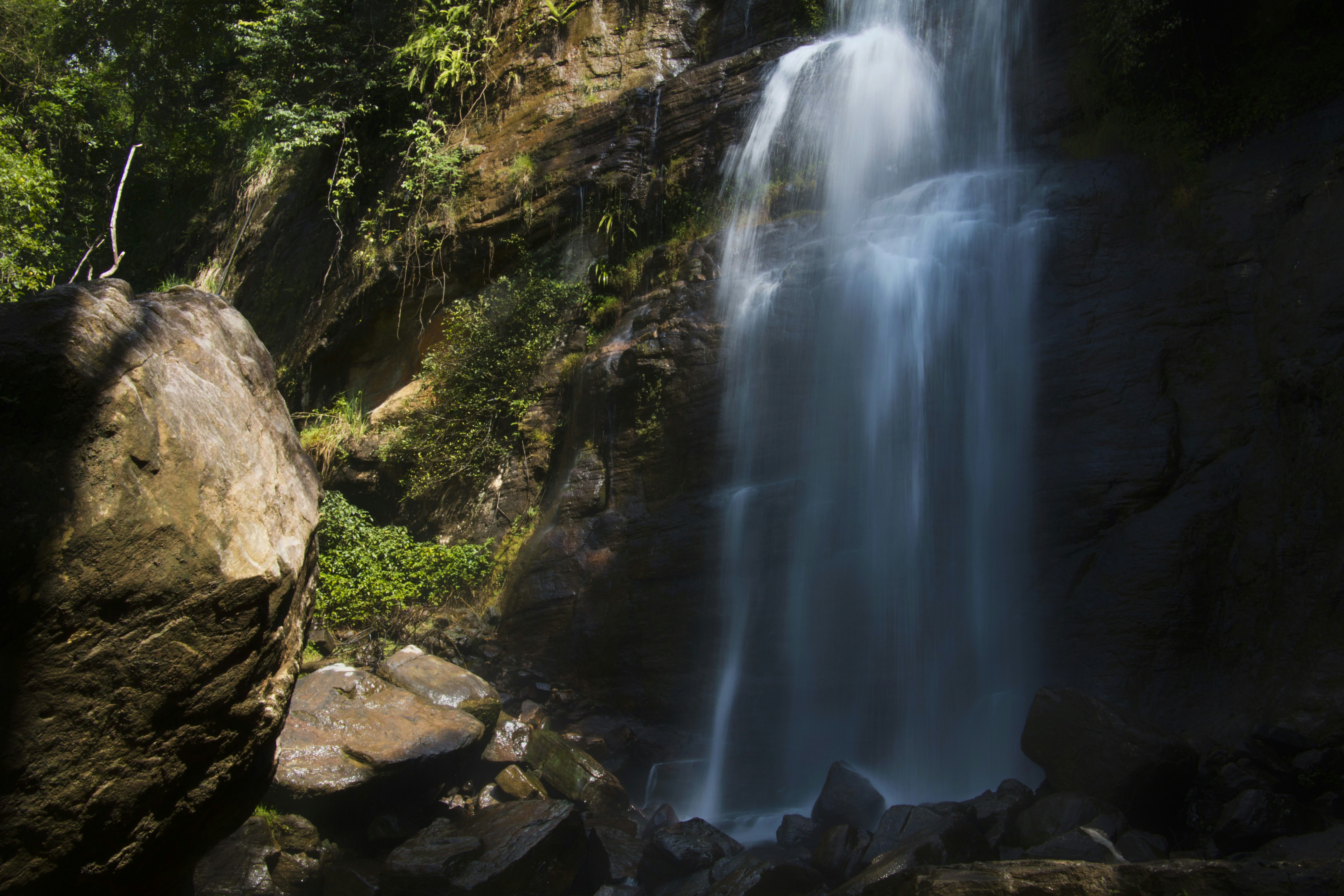 A lush green forest surrounds a tall waterfall
