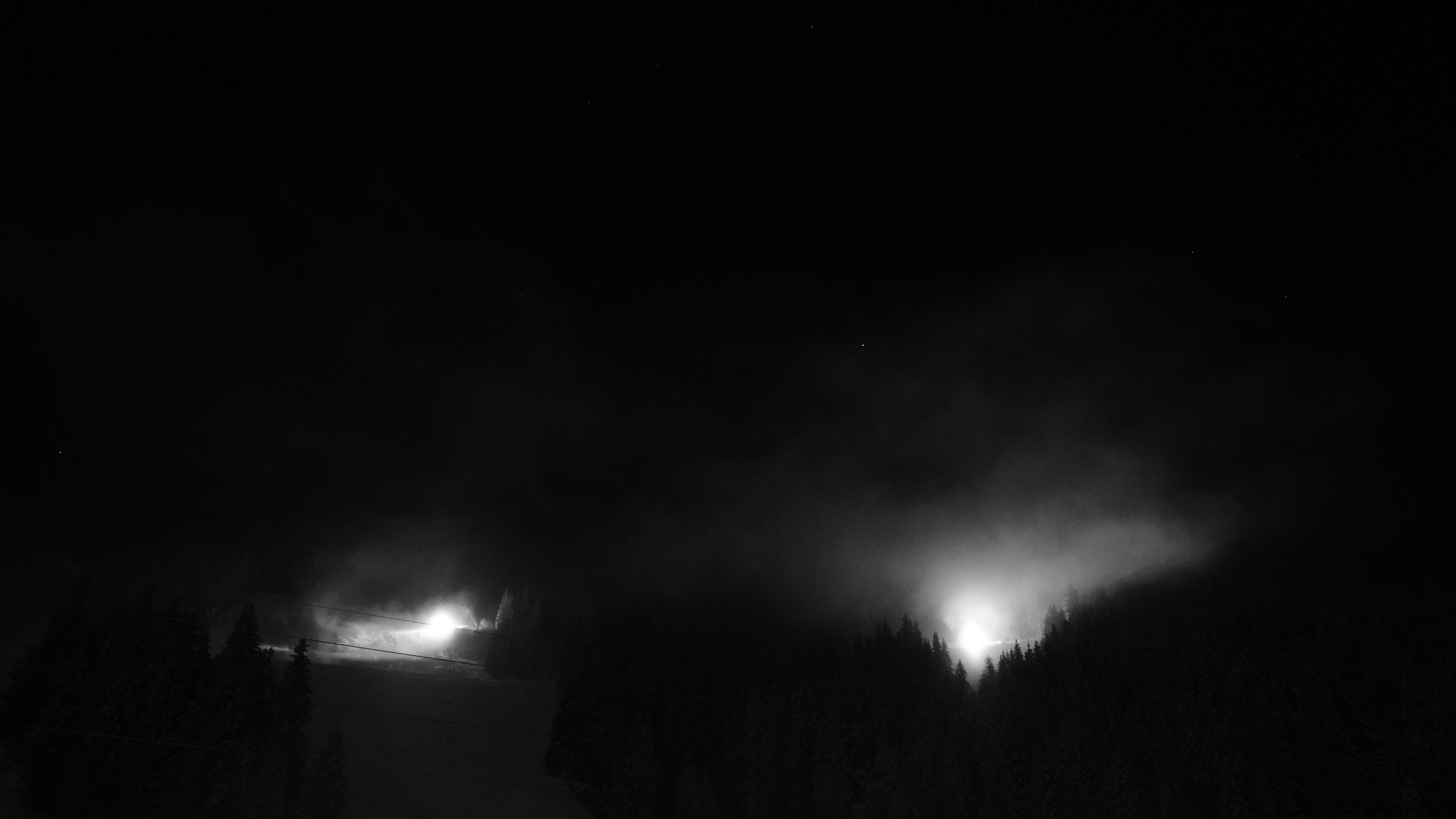 Forest fire at night with smoke and flames.
