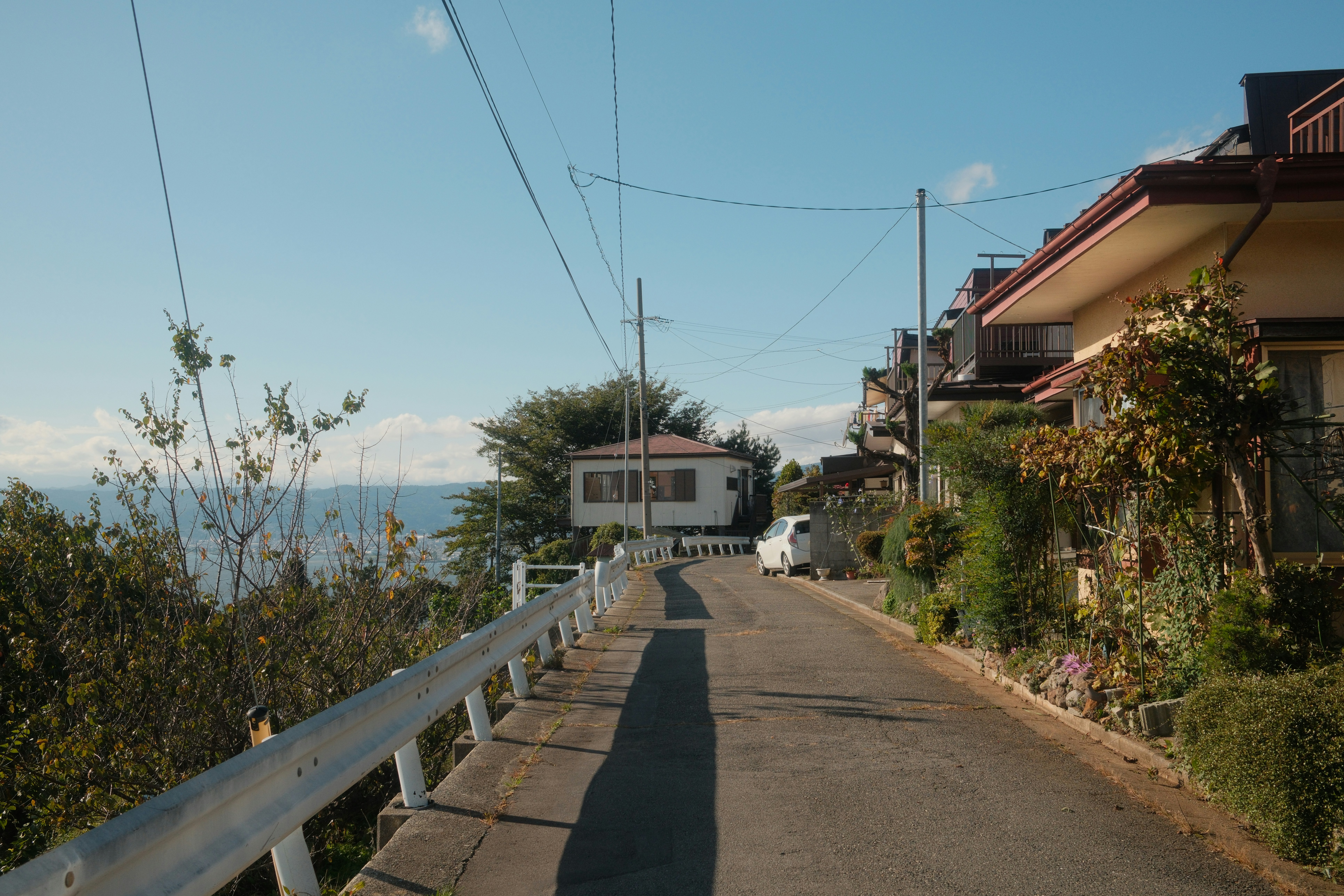 A road winds past houses towards the ocean.