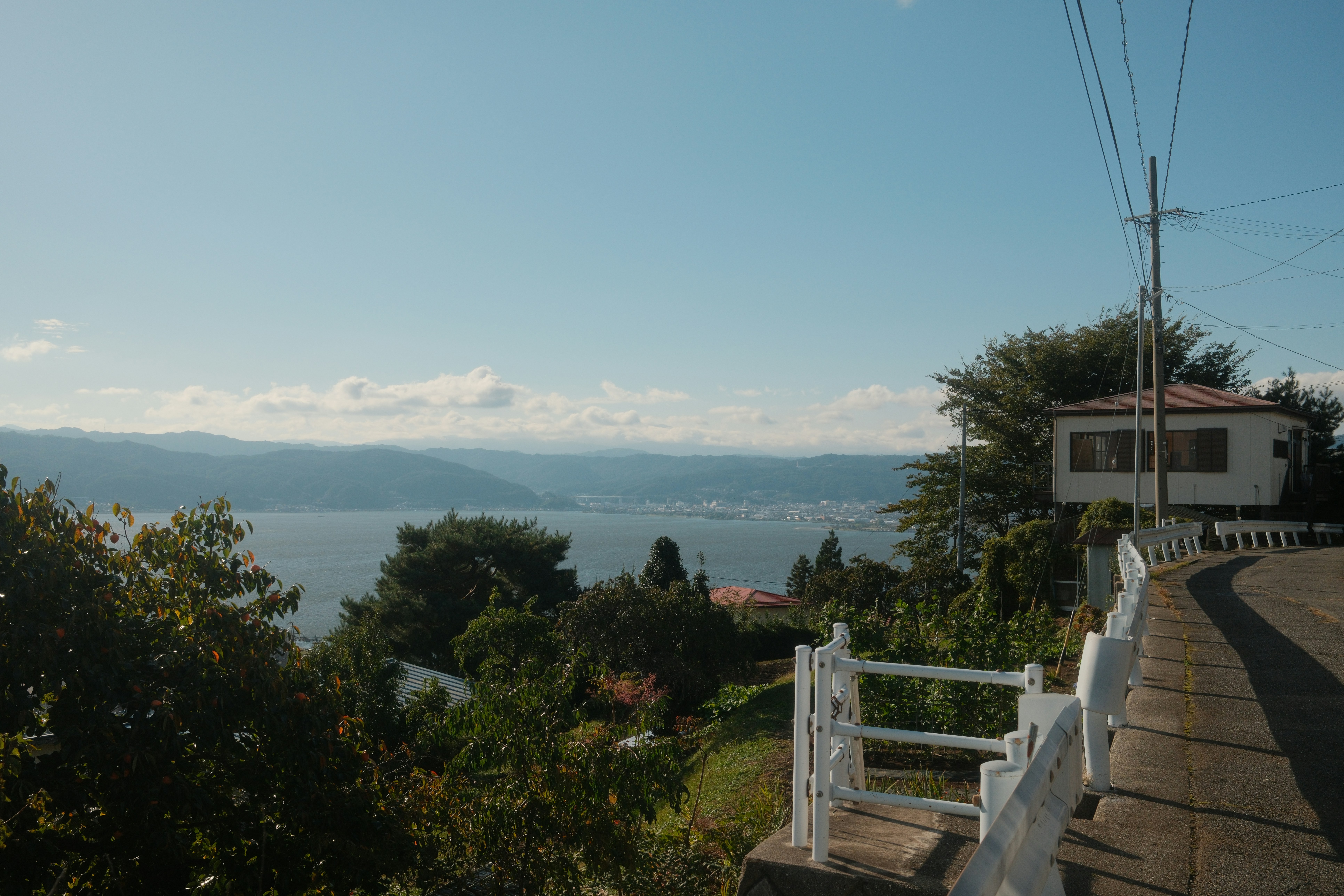 A scenic view of a bay from a hillside.