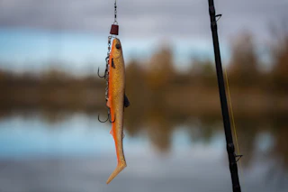 Olive-and-orange soft-plastic fishing lure with silver treble hooks hanging from a rod