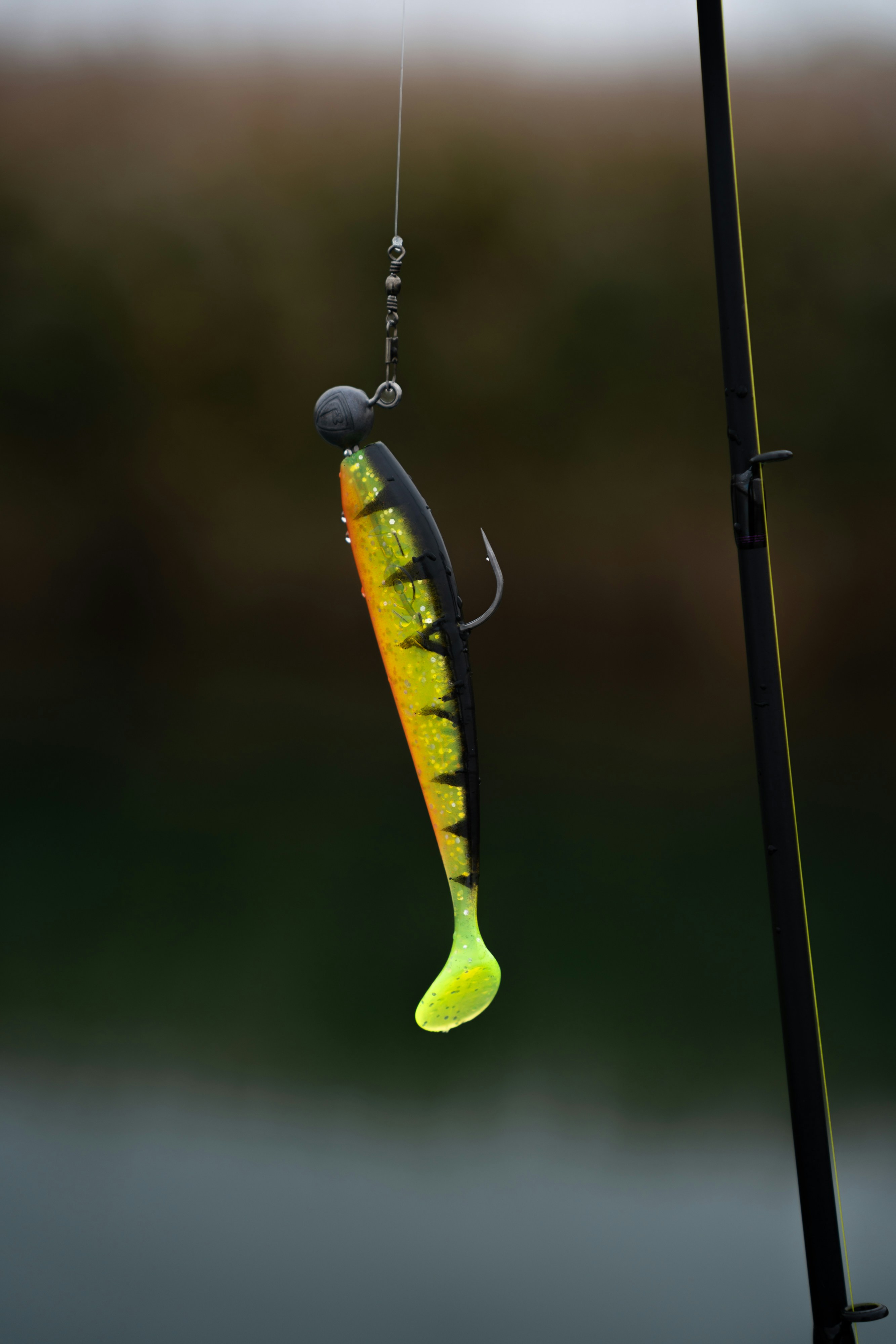 A fishing lure with a hook attached to a line.